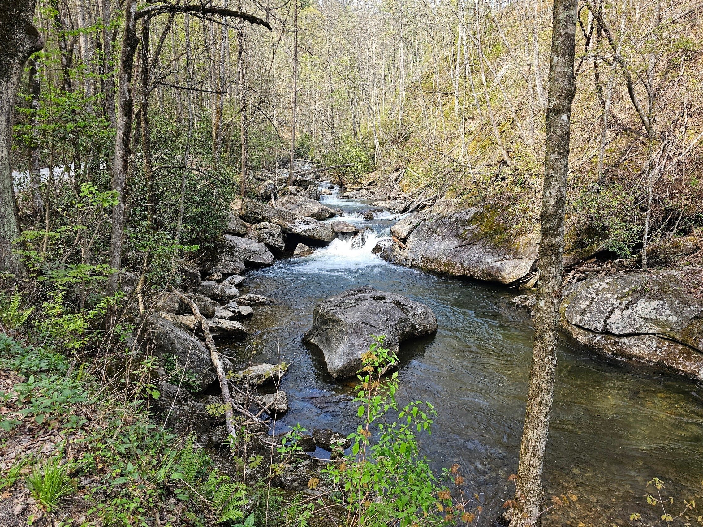 We followed the beautiful Tallulah River on our way to the trailhead.