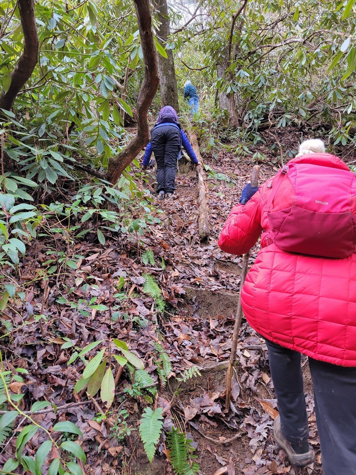 But it is a steep and slippery climb out.