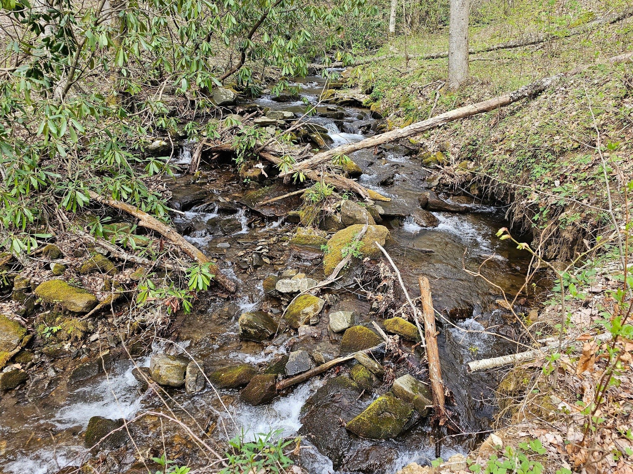 A last look at the upper end of the Tallulah River.
