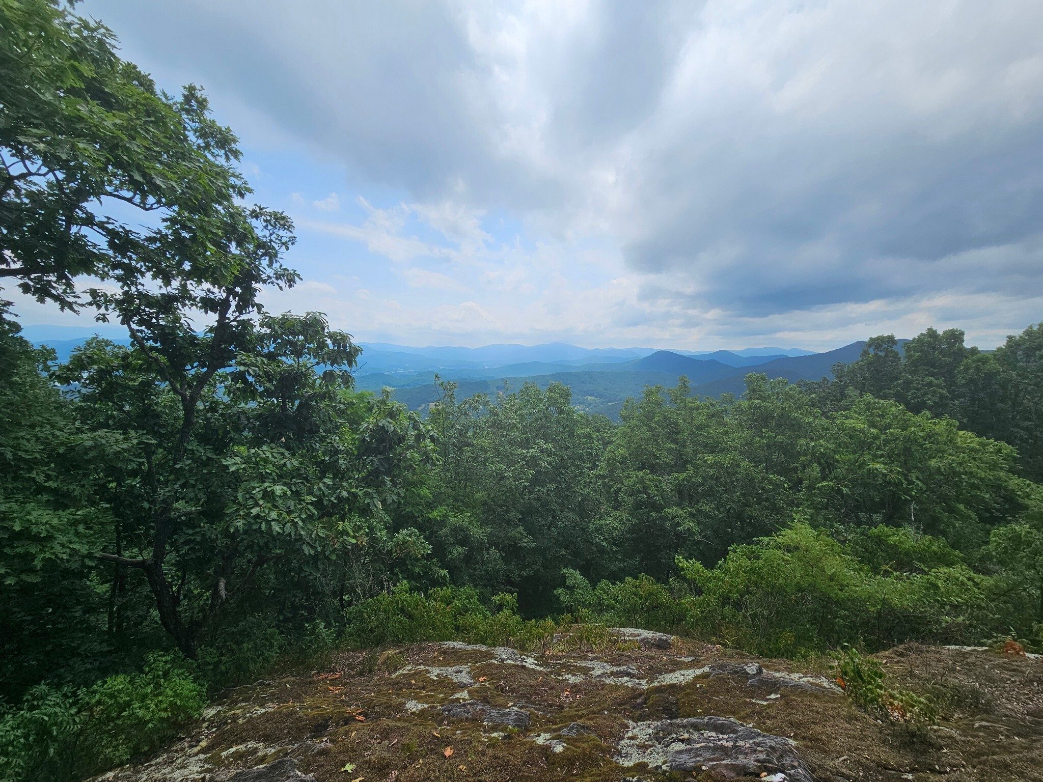 A nice panoramic view from the 1st bluff which looks  to the east.