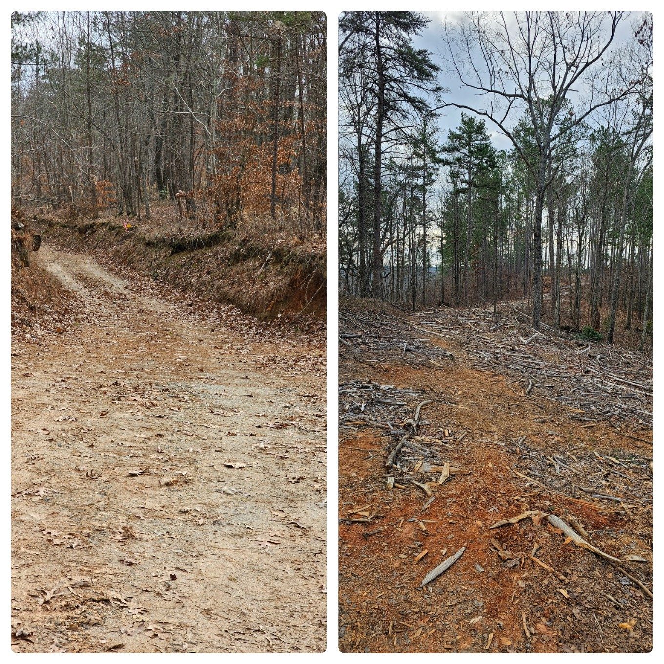 Initially hiking on the old Sellers Road, then onto a logging road with 0.25-mile of erosion control tree litter.  But it's passable.