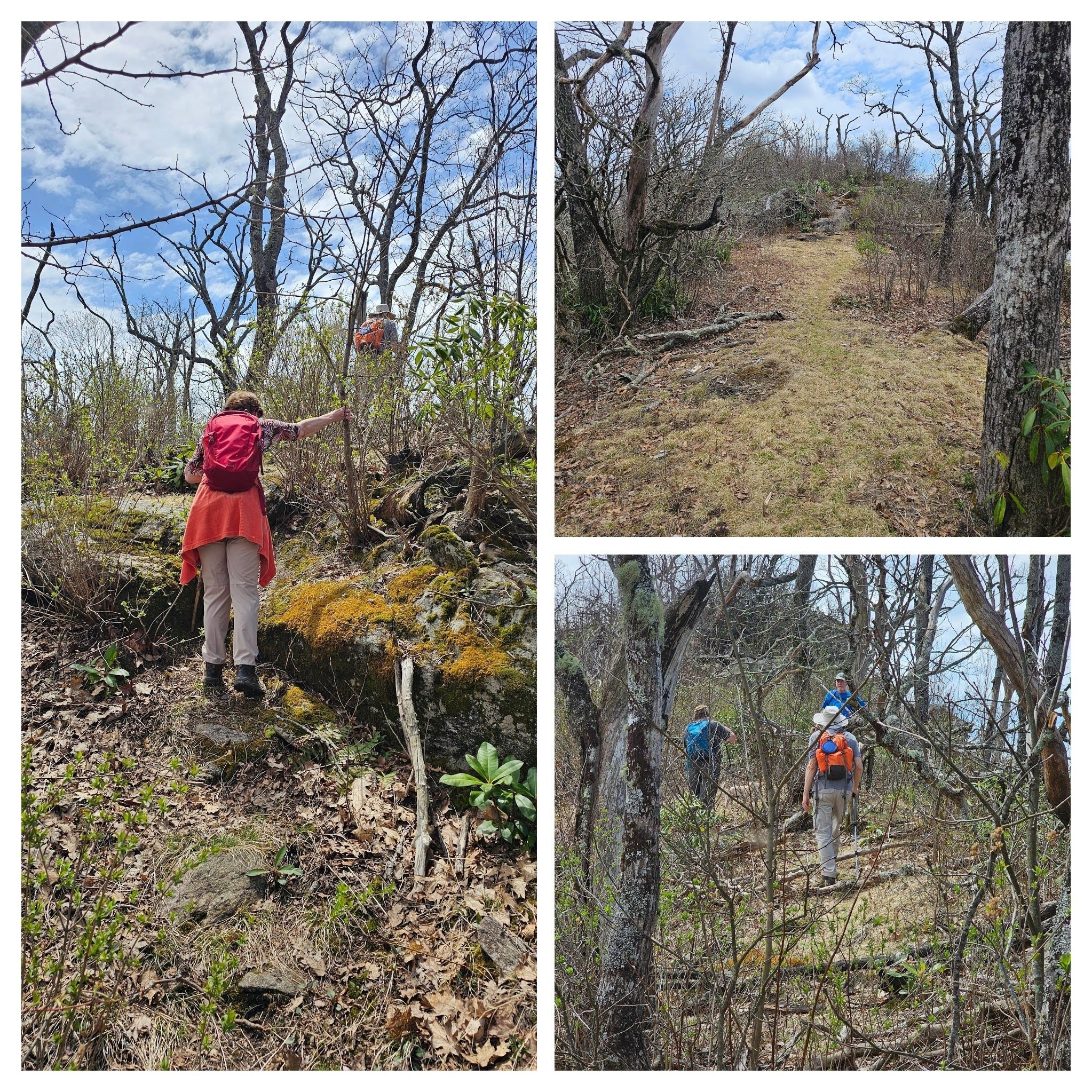 The last section of the trail to Big Scaly starts with a fairly open path, then lots of blowdowns and later massive boulder climbs. More difficult as you ascend.