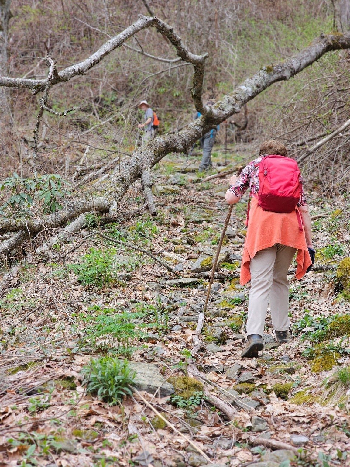 Still going up and Jenny has a few "words . . . *#!&" about the rocky path.