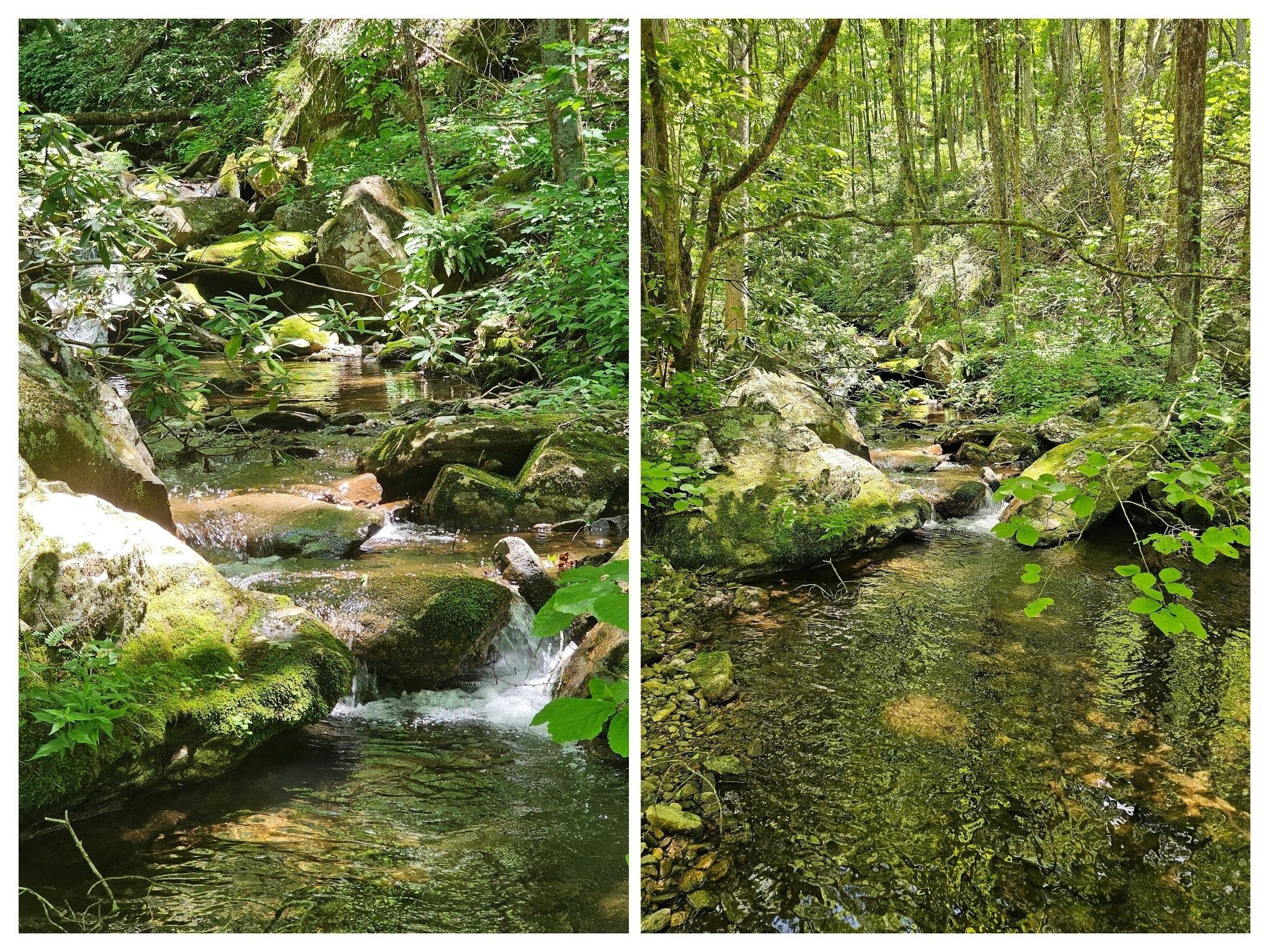 So much pretty water along this trail.