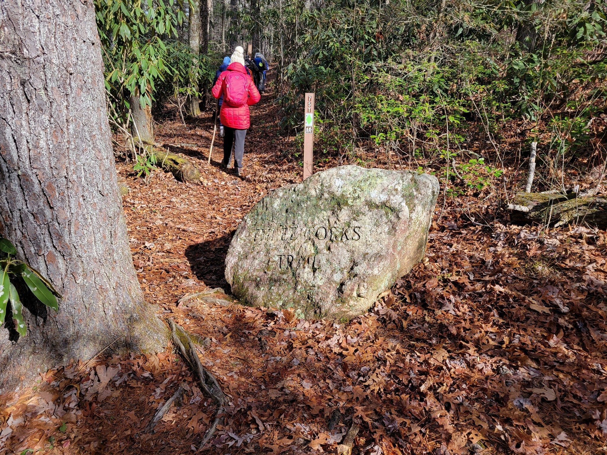 Headed off on the Three Forks Trail.