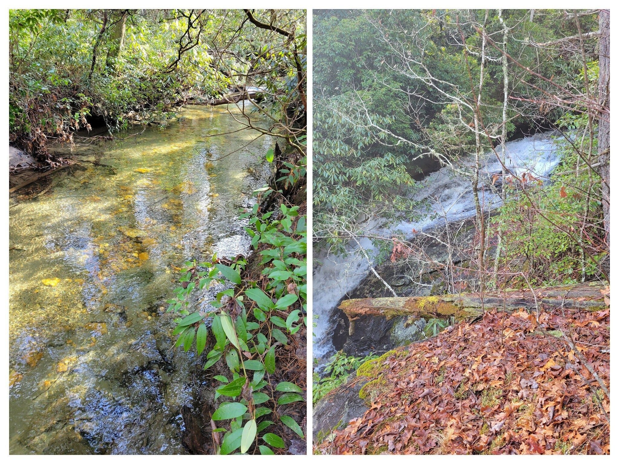 What struck some of us as curious was with the numerous rapids  and slides above Holcomb Creek Falls... how there would be sections of the creek that were seemingly very calm.