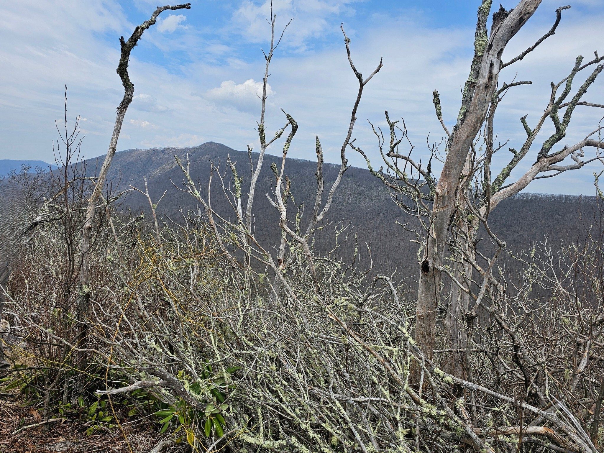 A view of Standing Indian from Big Scaly Mtn south of our location.