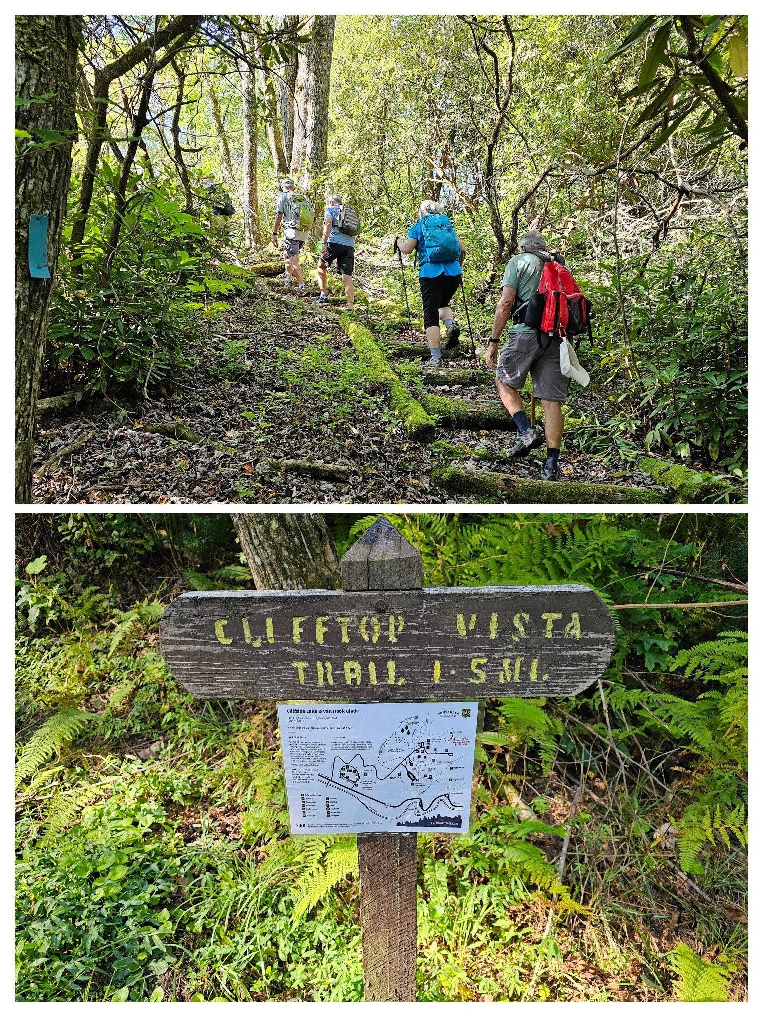 The Clifftop Vista Trail continues the climb.