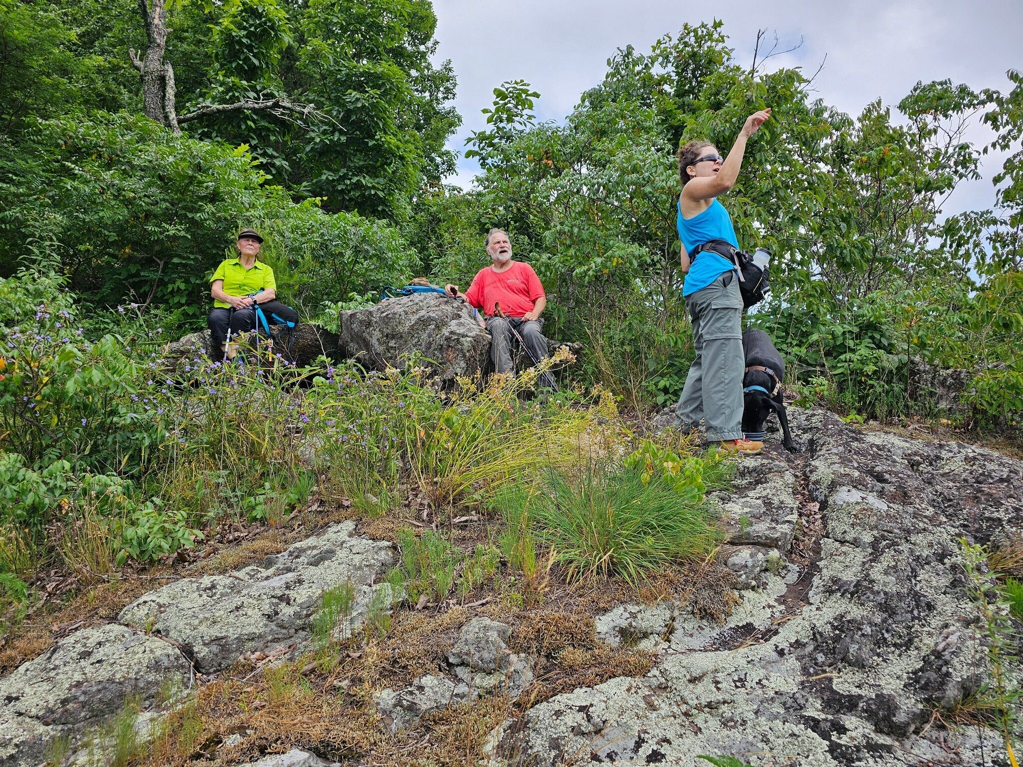Trying to see Brasstown Bald from the bluff below Rocky Knob.