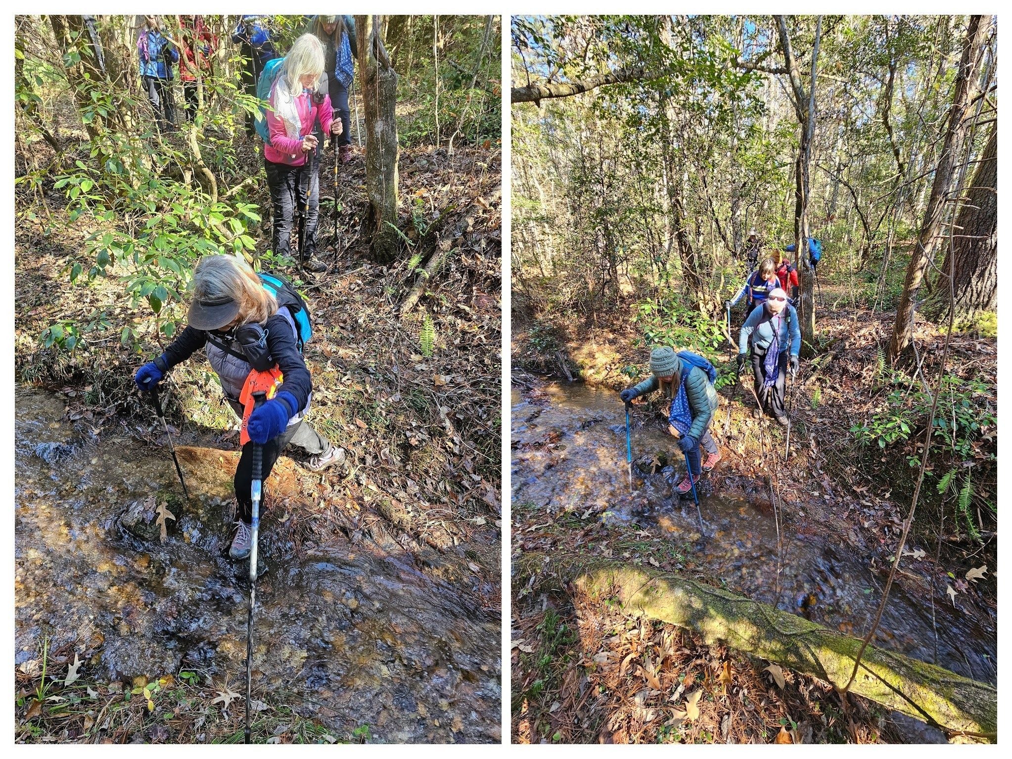 One of two shallow stream crossings on the Willis Knob Horse Trail.