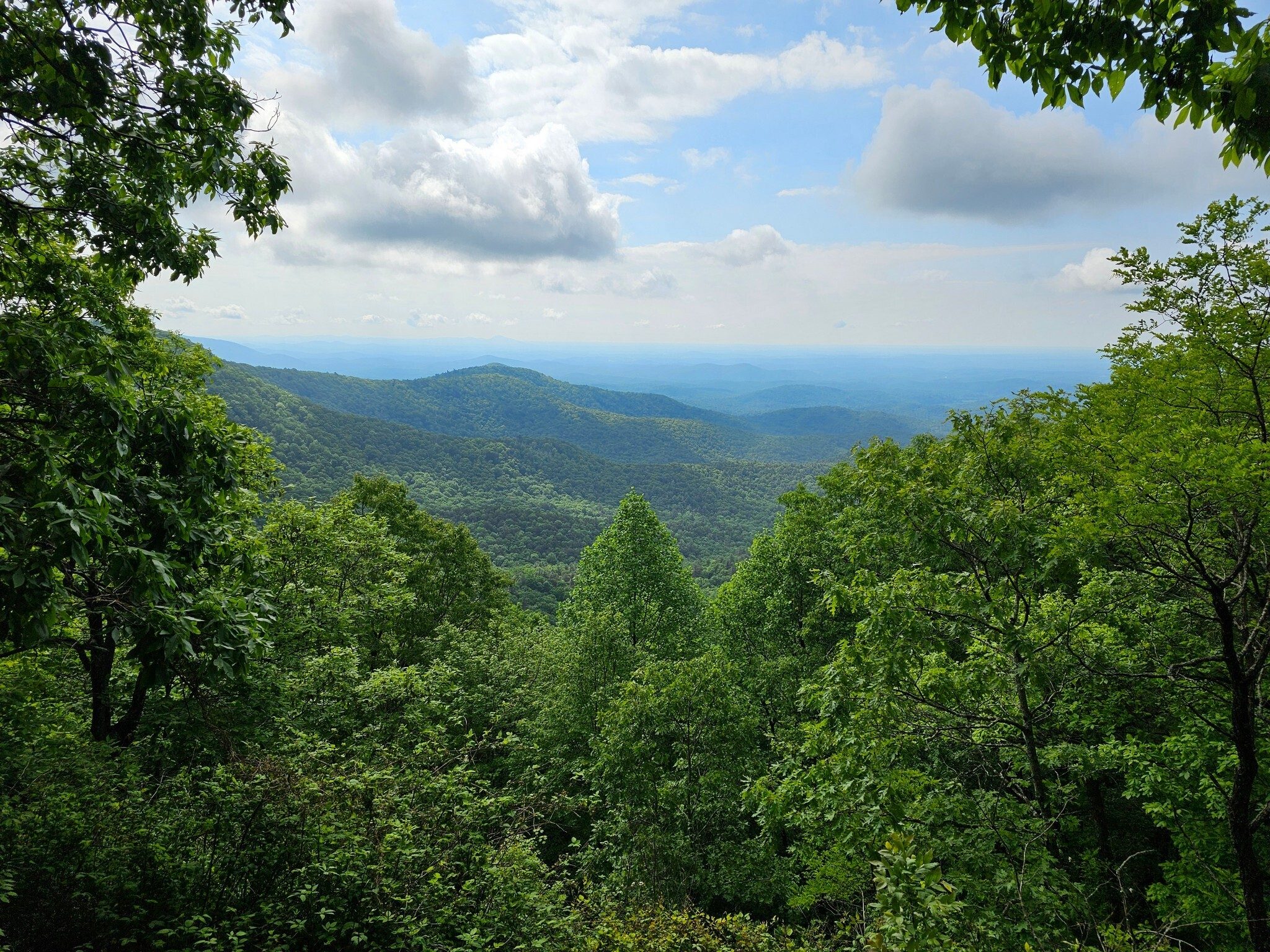 A very nice view early in the hike at Owen's Vista/Overlook.