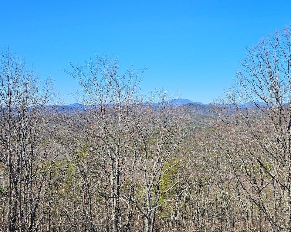 Great views from the fire tower. Photo by Don Pratt