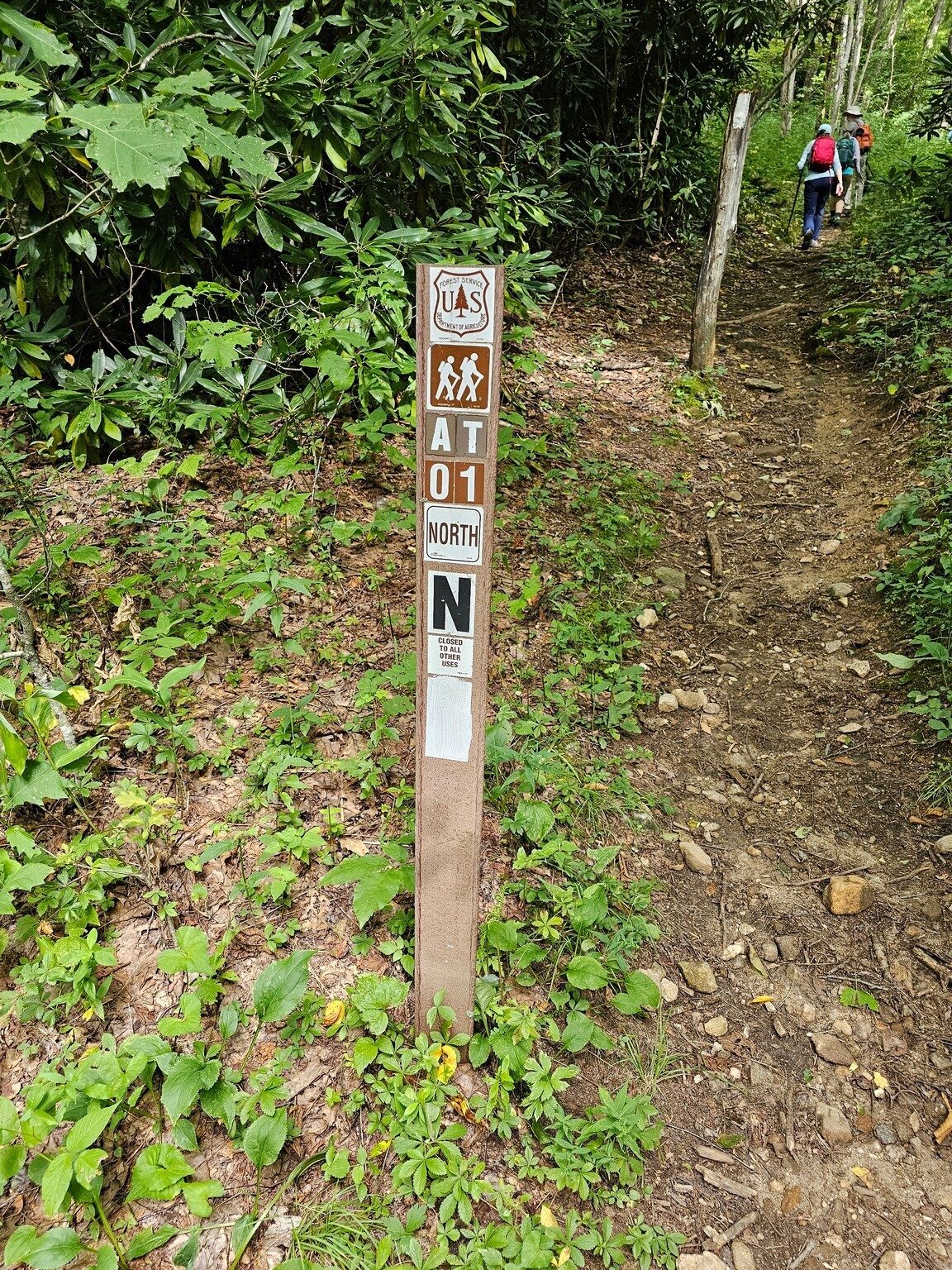 Got to hike up a section of the AT to reach the start of the Yellow Patch Trail