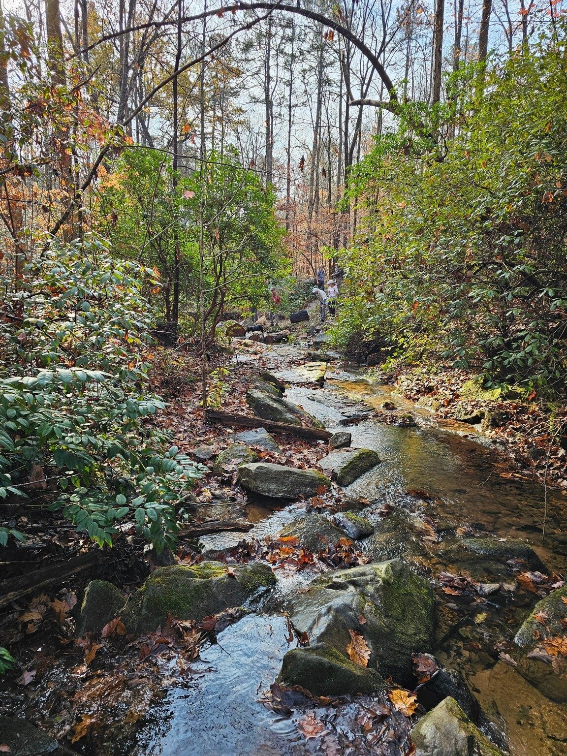 Looking downstream, for some reason, no one wanted to join me a the base of Nancytown Falls.
