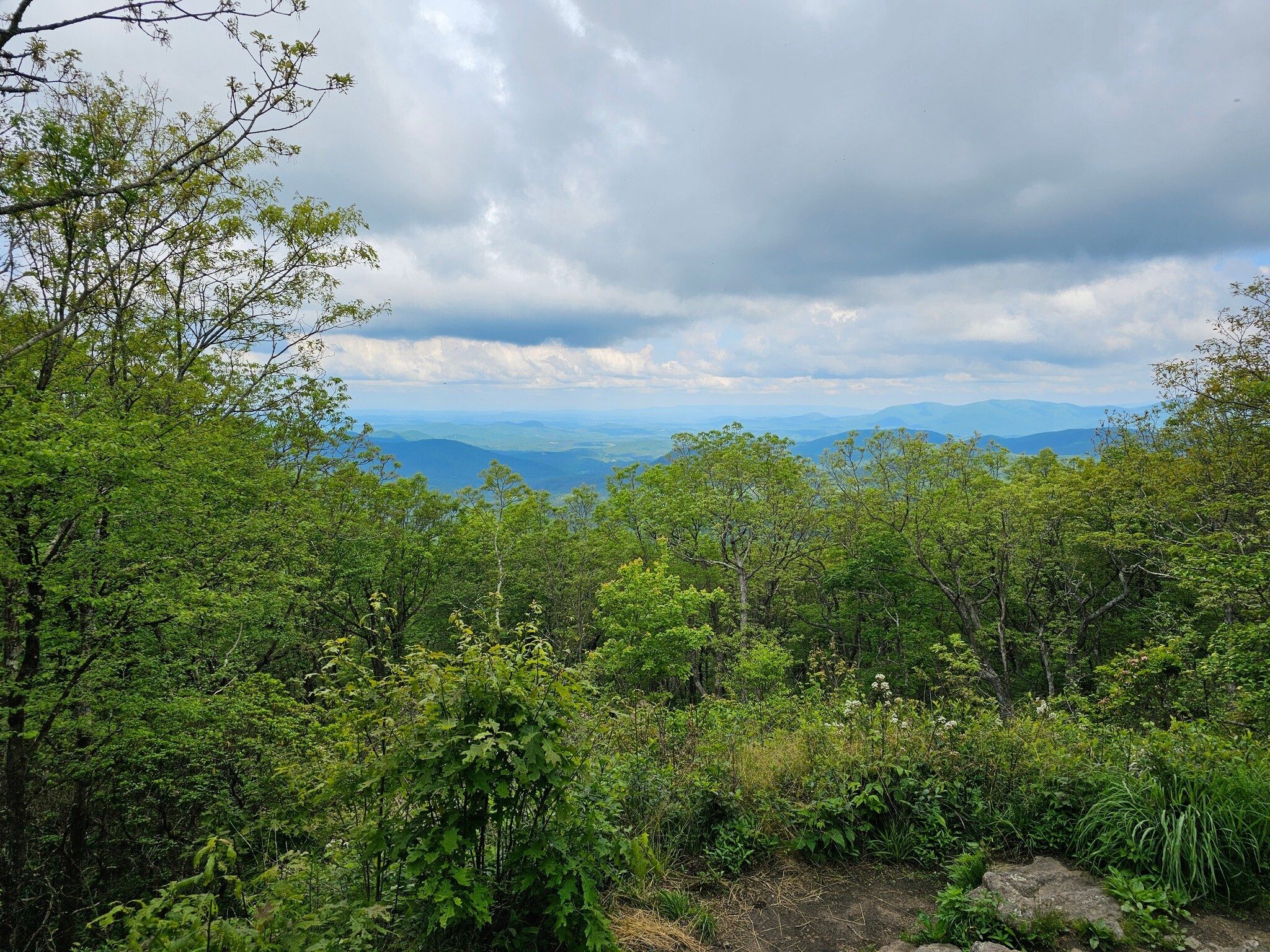 A beautiful view  to the south from Springer Mountain.