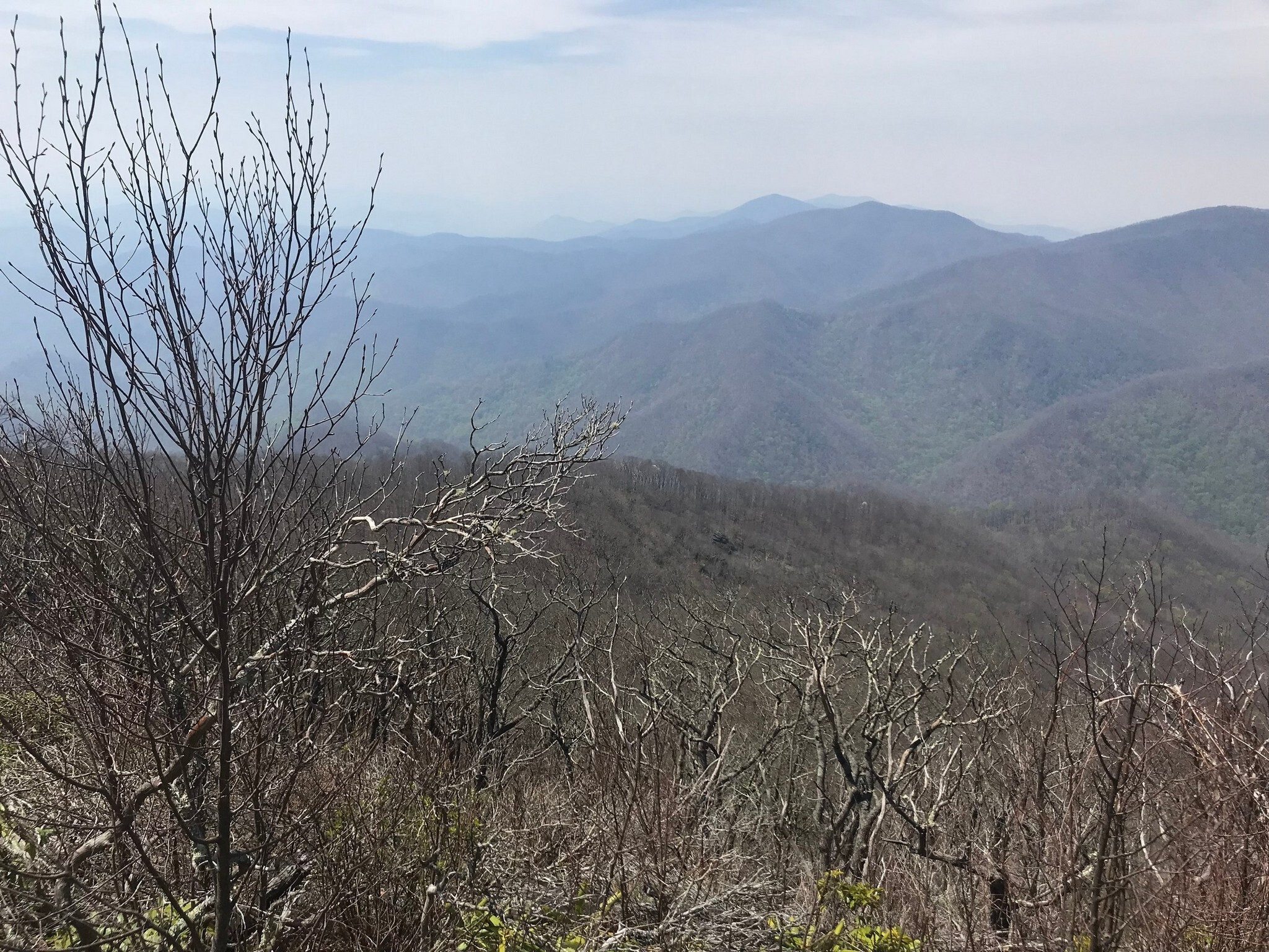 A smokey view to the west. Photo by Matt Henderson.