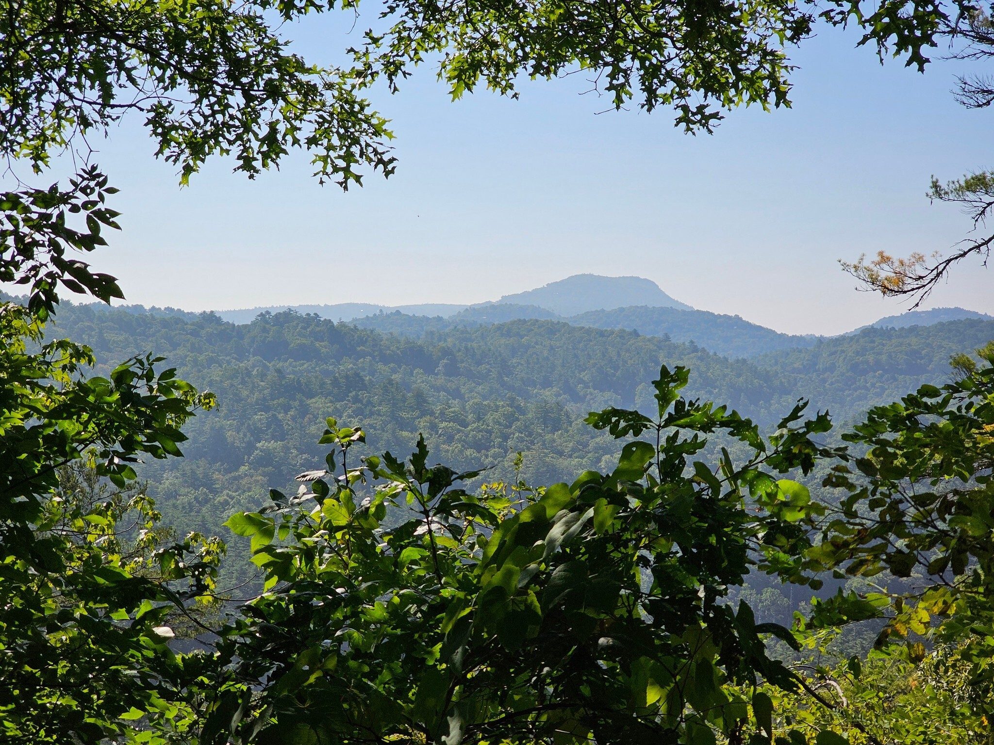 It's is limited, but is the only clear view of the valley and mountains to the southeast.