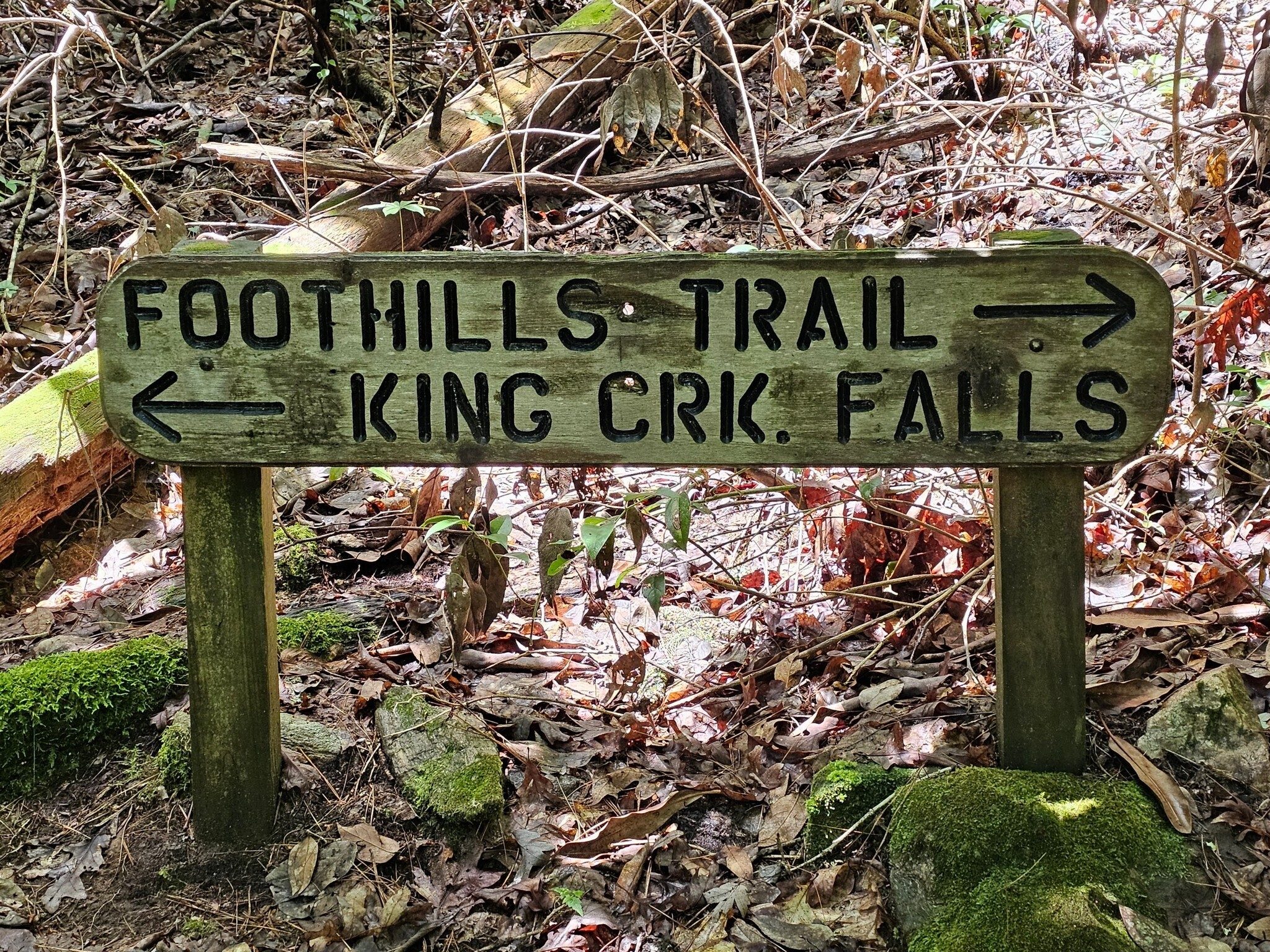 Headed up the trail to King's Creek Falls.