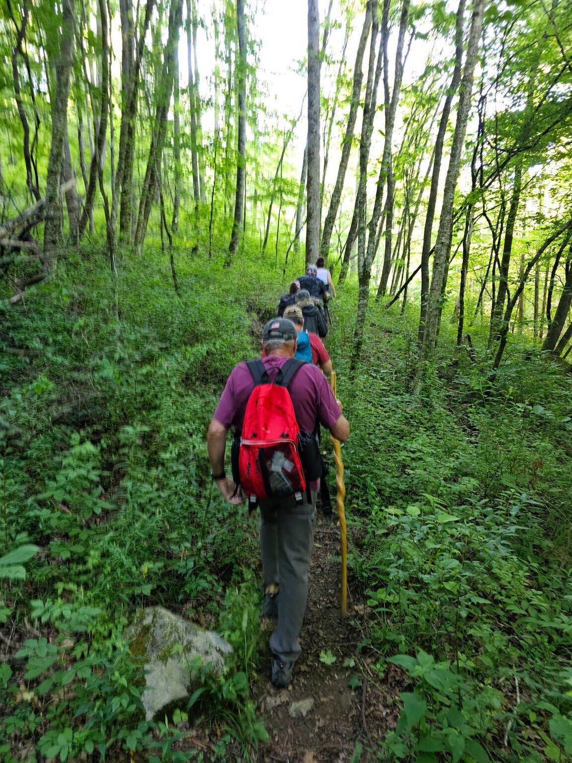 No warmup on this trail.  A steep climb at the beginning.