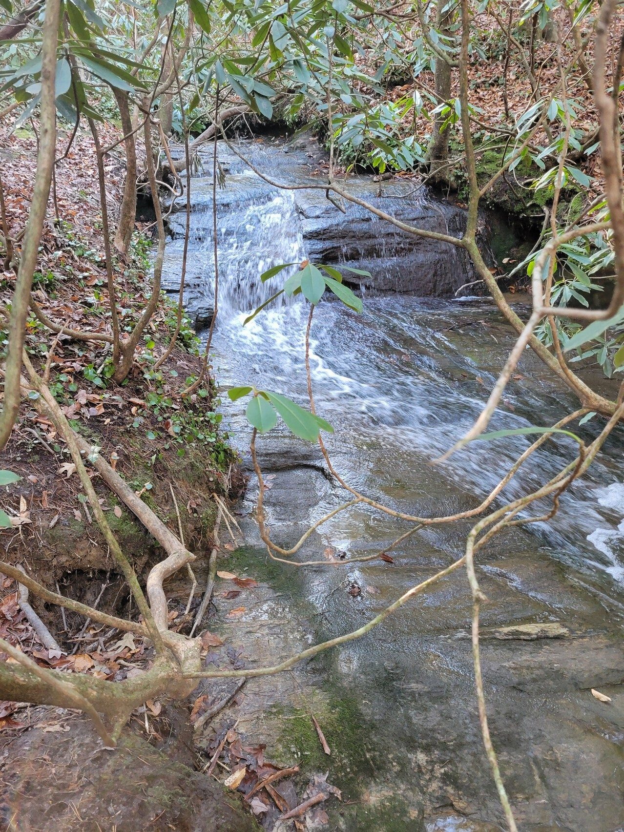 Another attractive water feature.