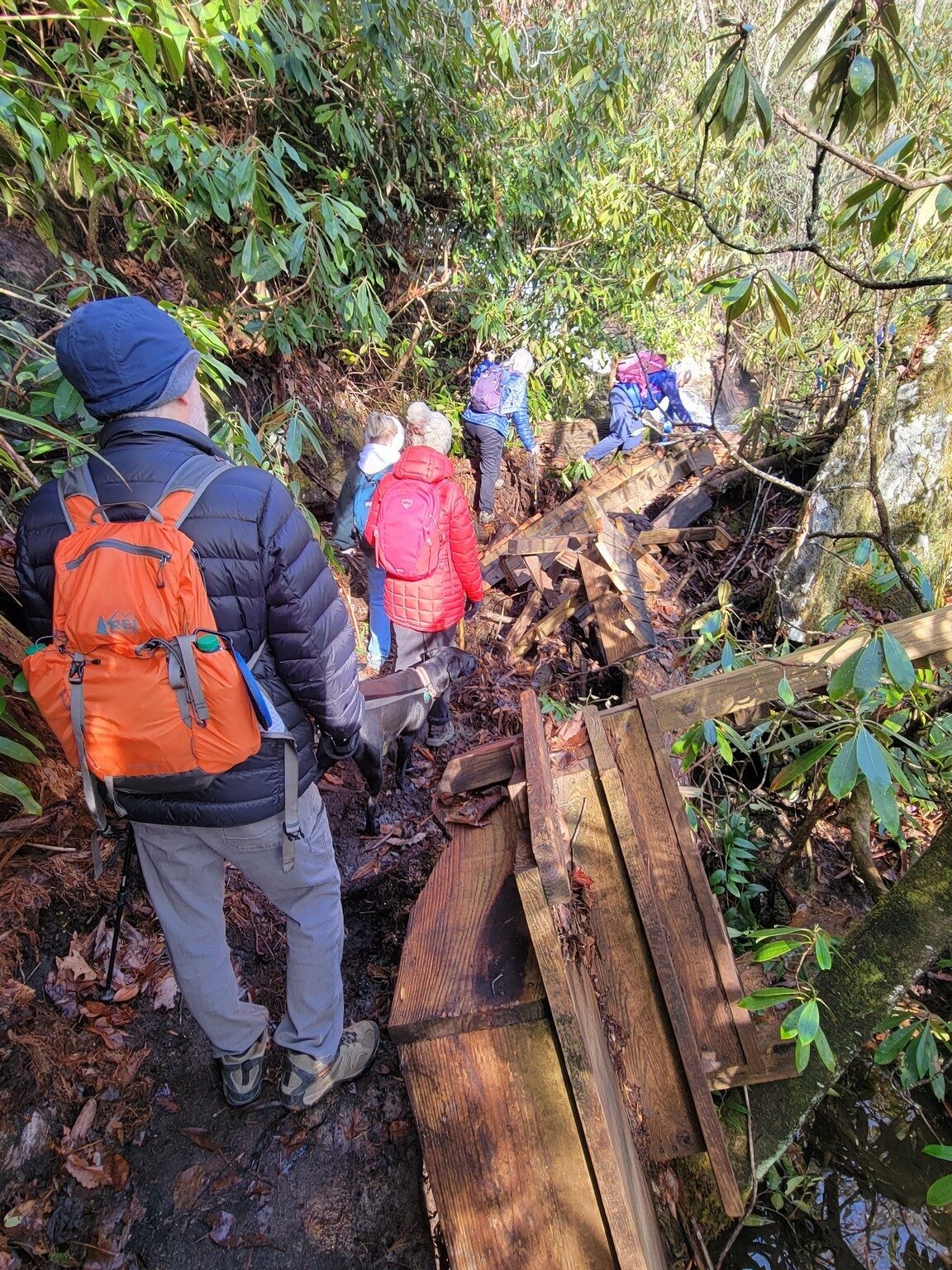 With the viewing bridge & platform destroyed, it's  bit of a trick to get over to the  rocks  below Ammons Falls.