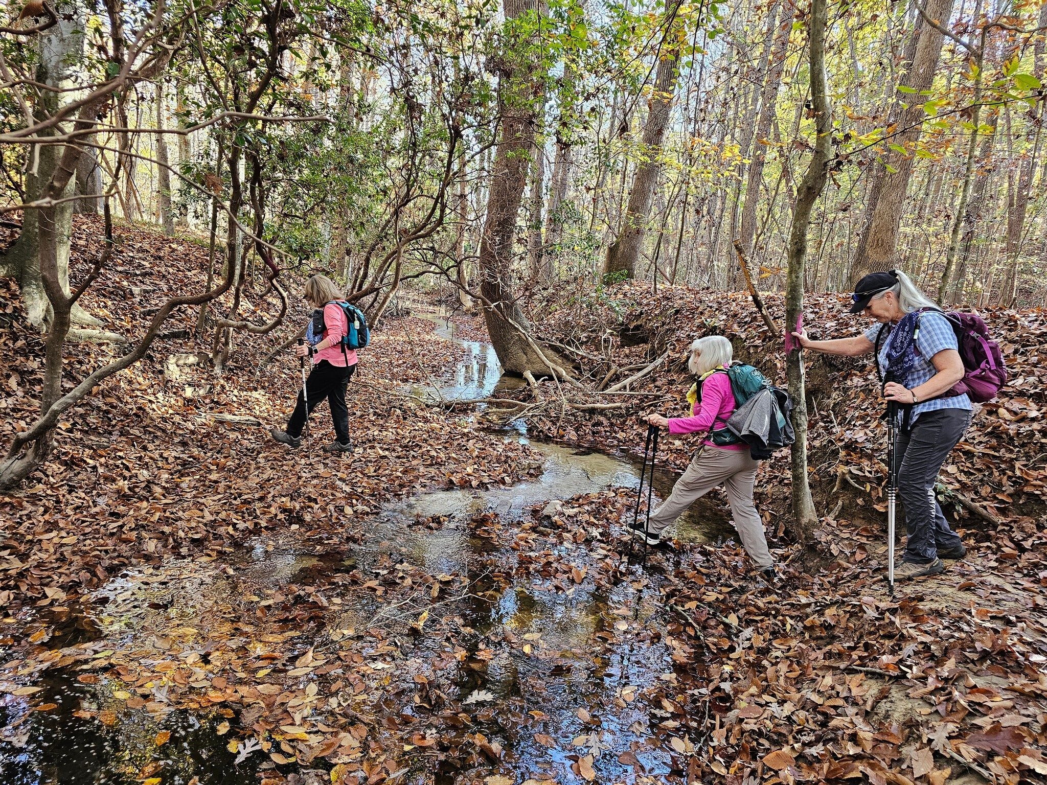 One of the creek crossings