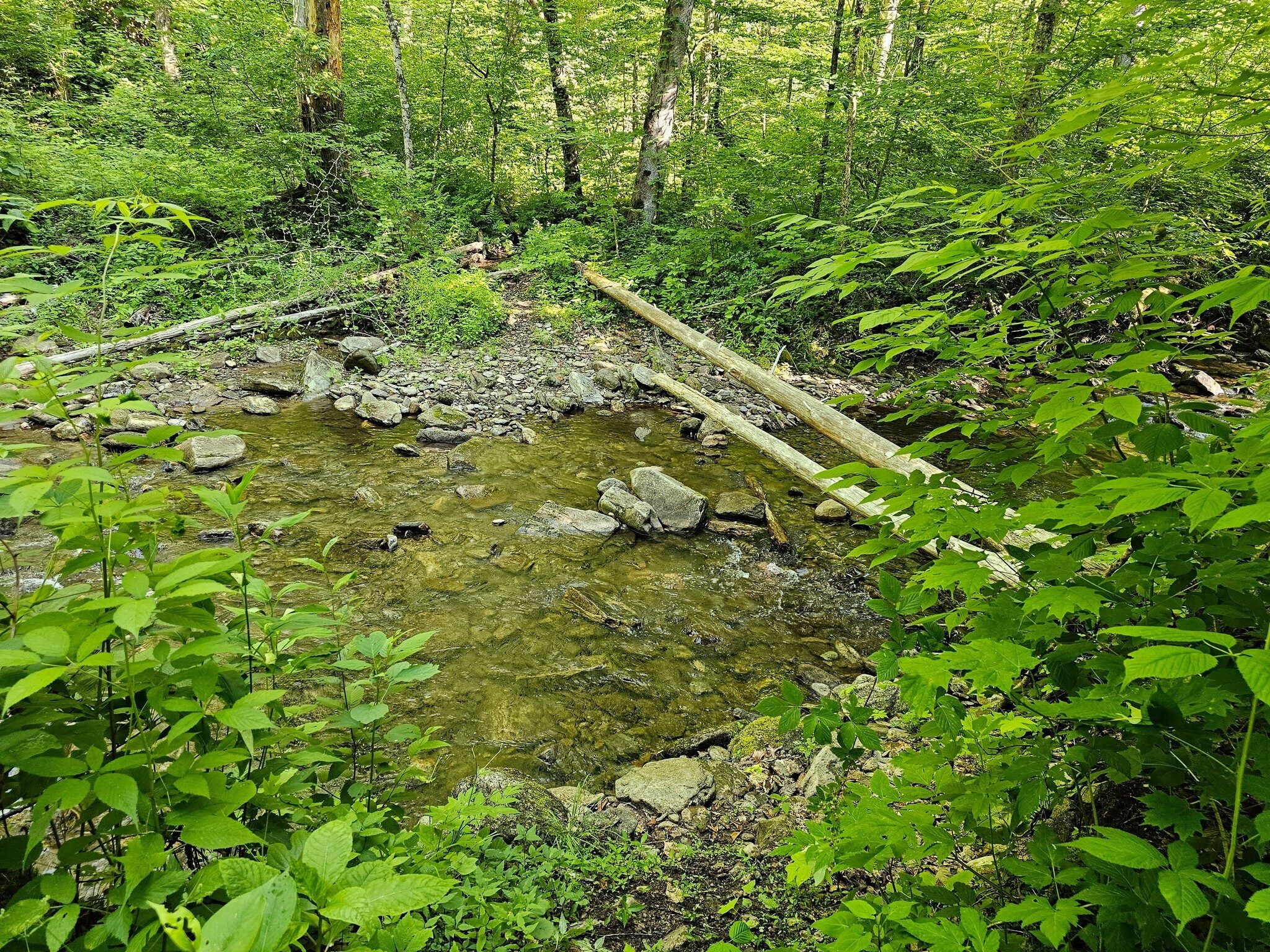 Our first water crossing on Beech Creek.  Not too deep and could be rock-hopped today.
