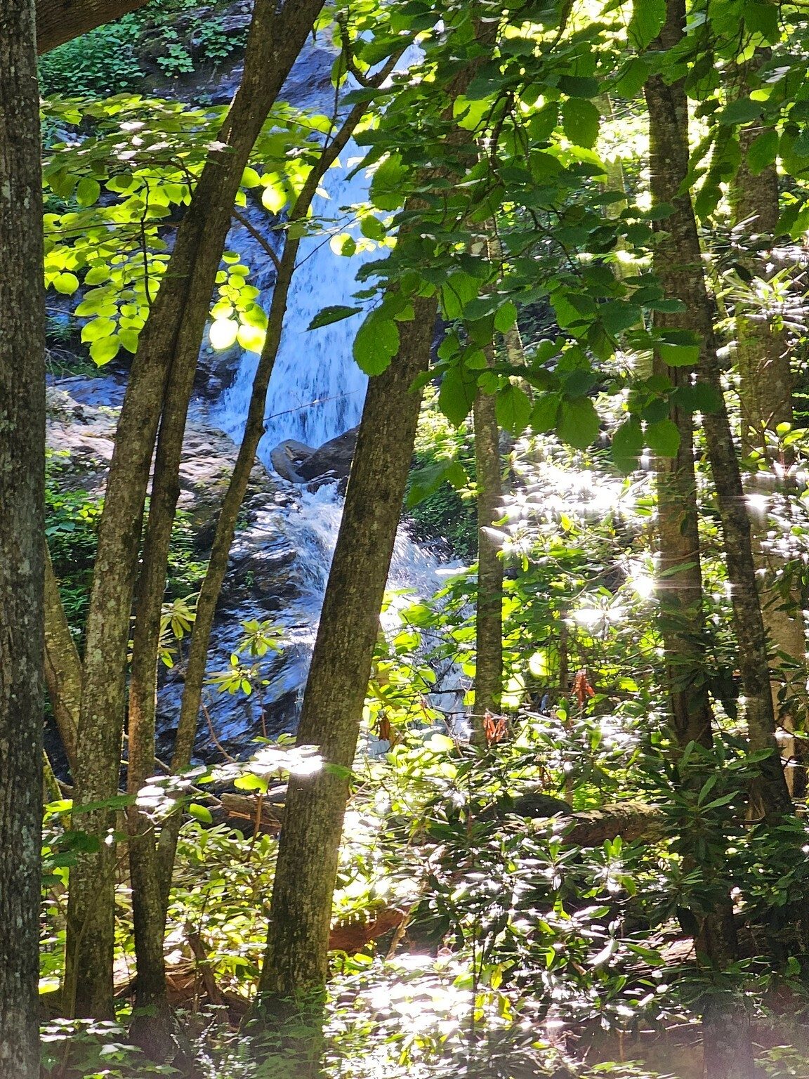 A first look a Bull Cove Falls through the trees.