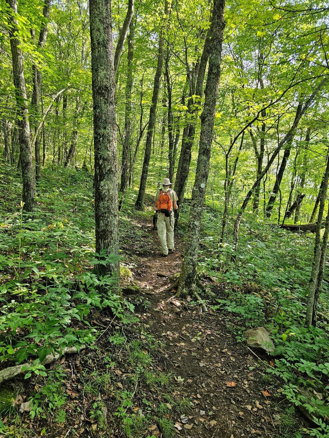 Nice trail overall.