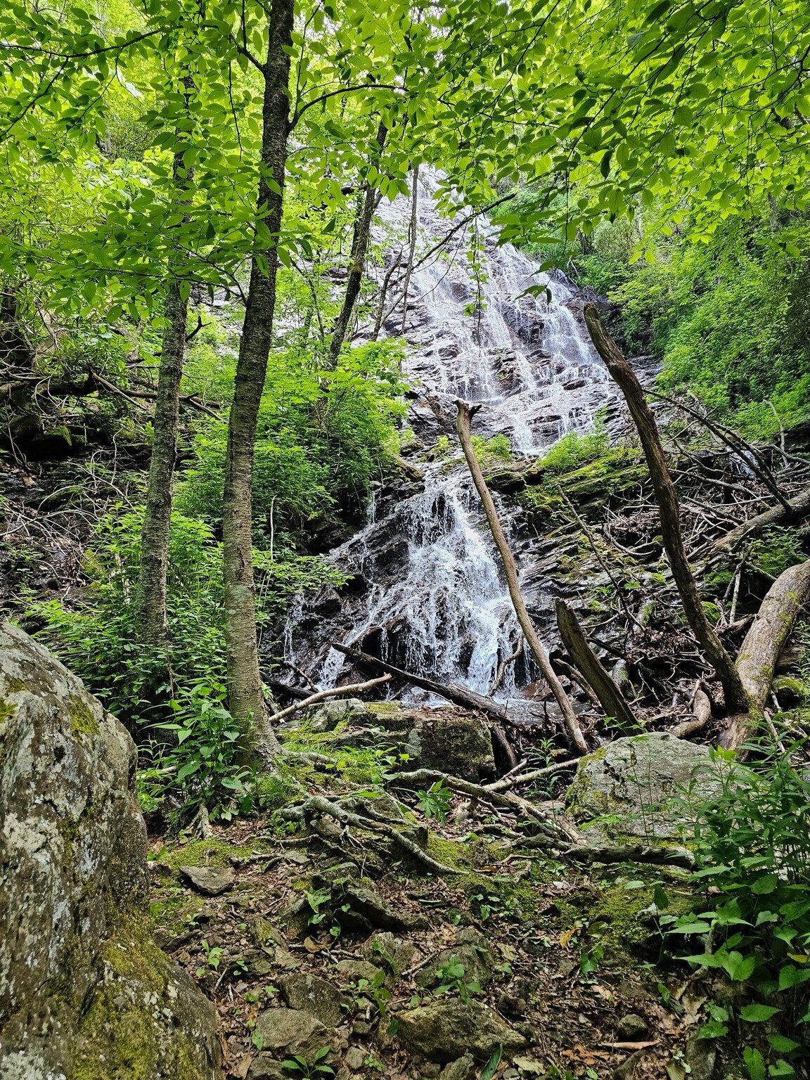 Finally, High Falls. Lots of blowdown and not possible to get very close.