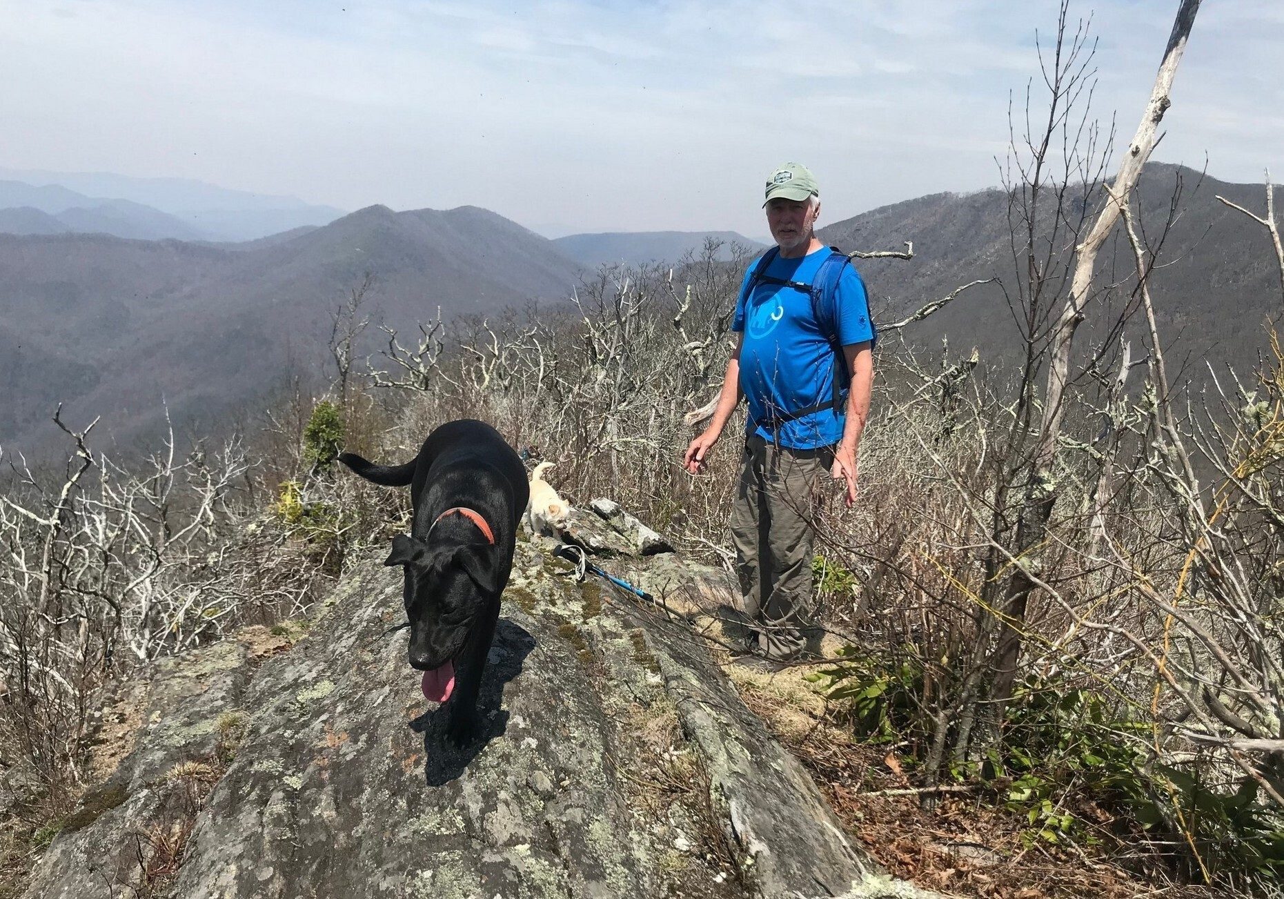 Ken, Toby and Cutie Pie checking out a spot for lunch. Photo by Matt Henderson.