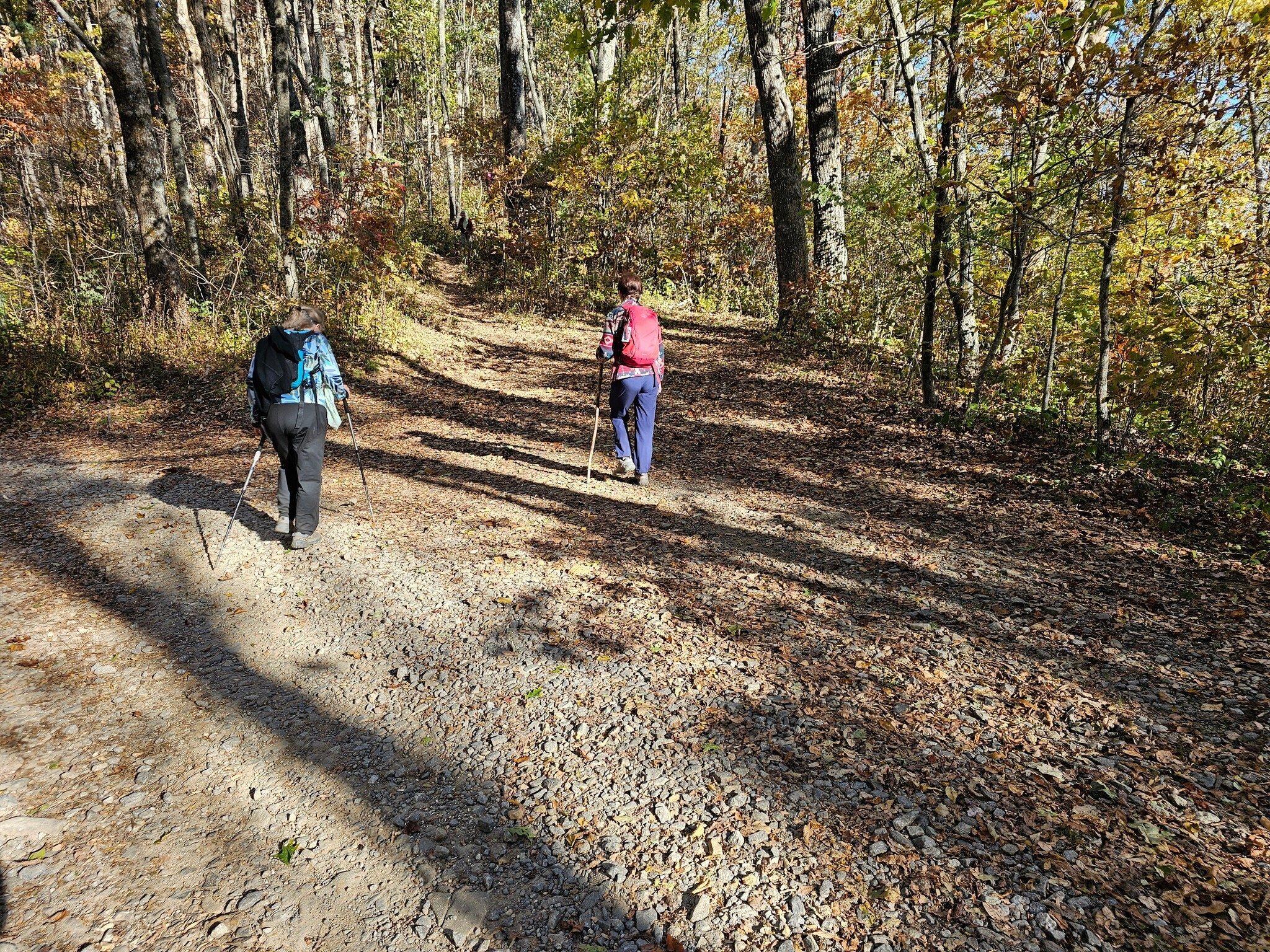 "You mean we could have driven up here?" The Coosa Ridge Trail crosses Duncan Ridge Road.