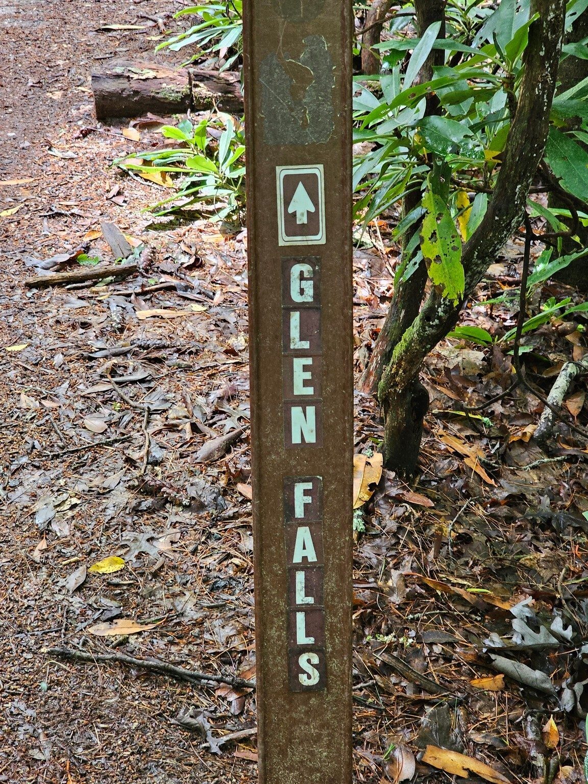 On to Glen Falls . . . or at least two of them.