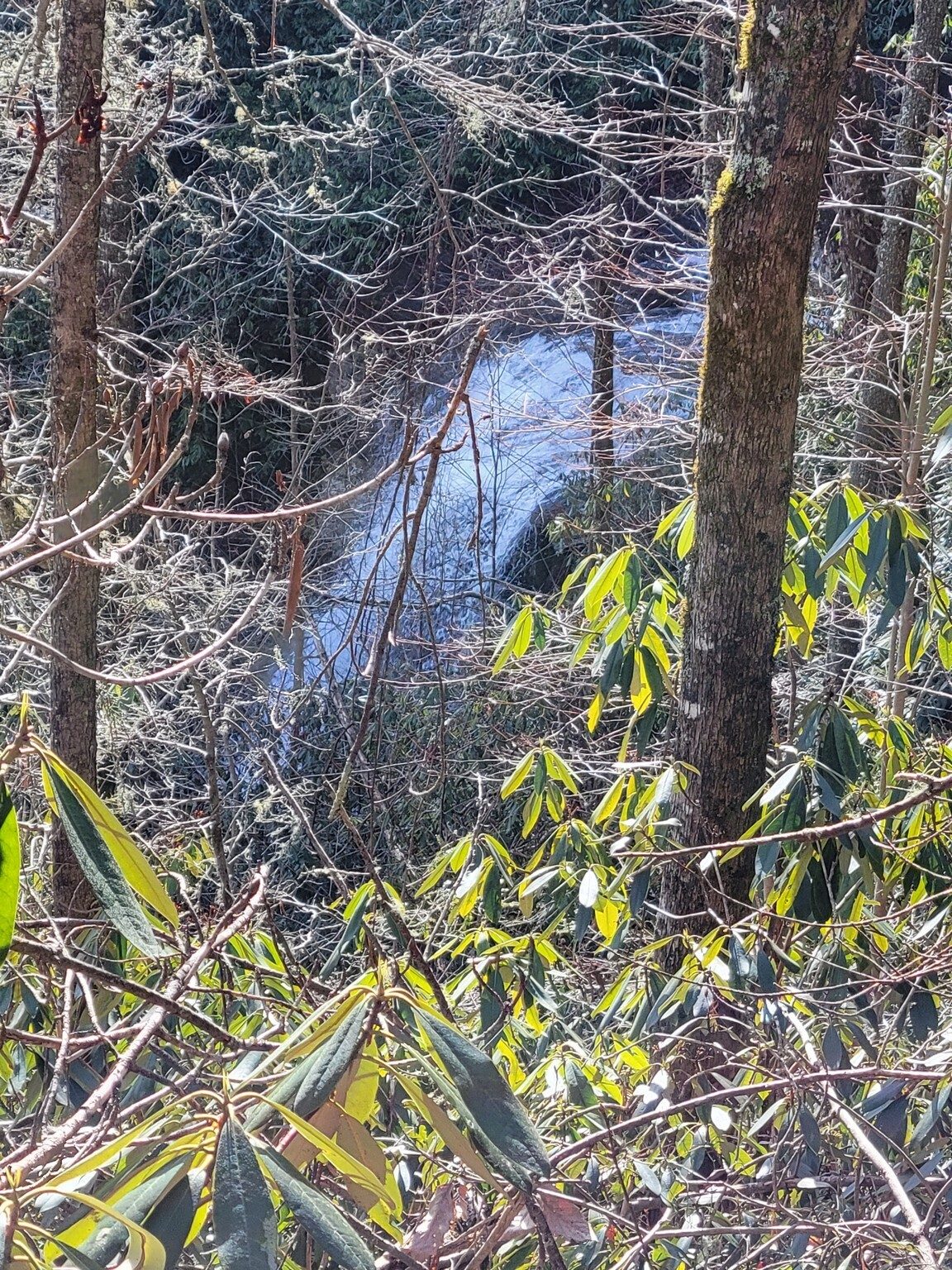There are two more smaller falls between Holcomb Creek Falls and the Upper  Holcomb Creek Falls that we heard, but could not safely get to.