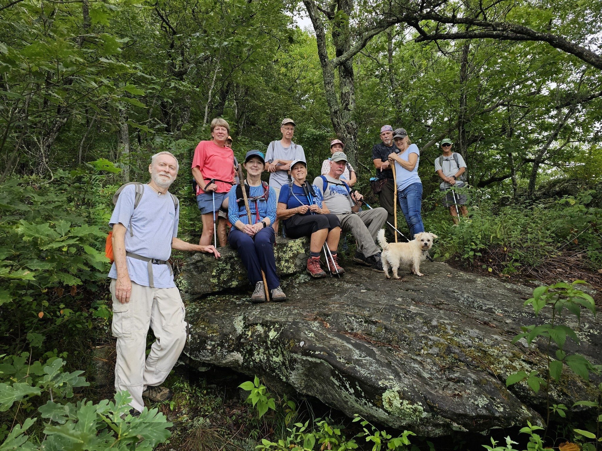 Some of our hikers (aka "The Jury") decided to take a break here.