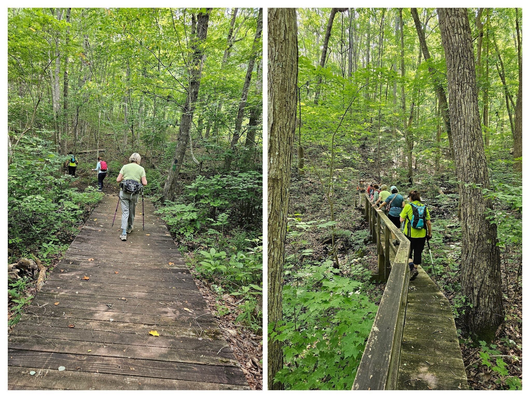 The trail has some nice walkways in wet areas.
