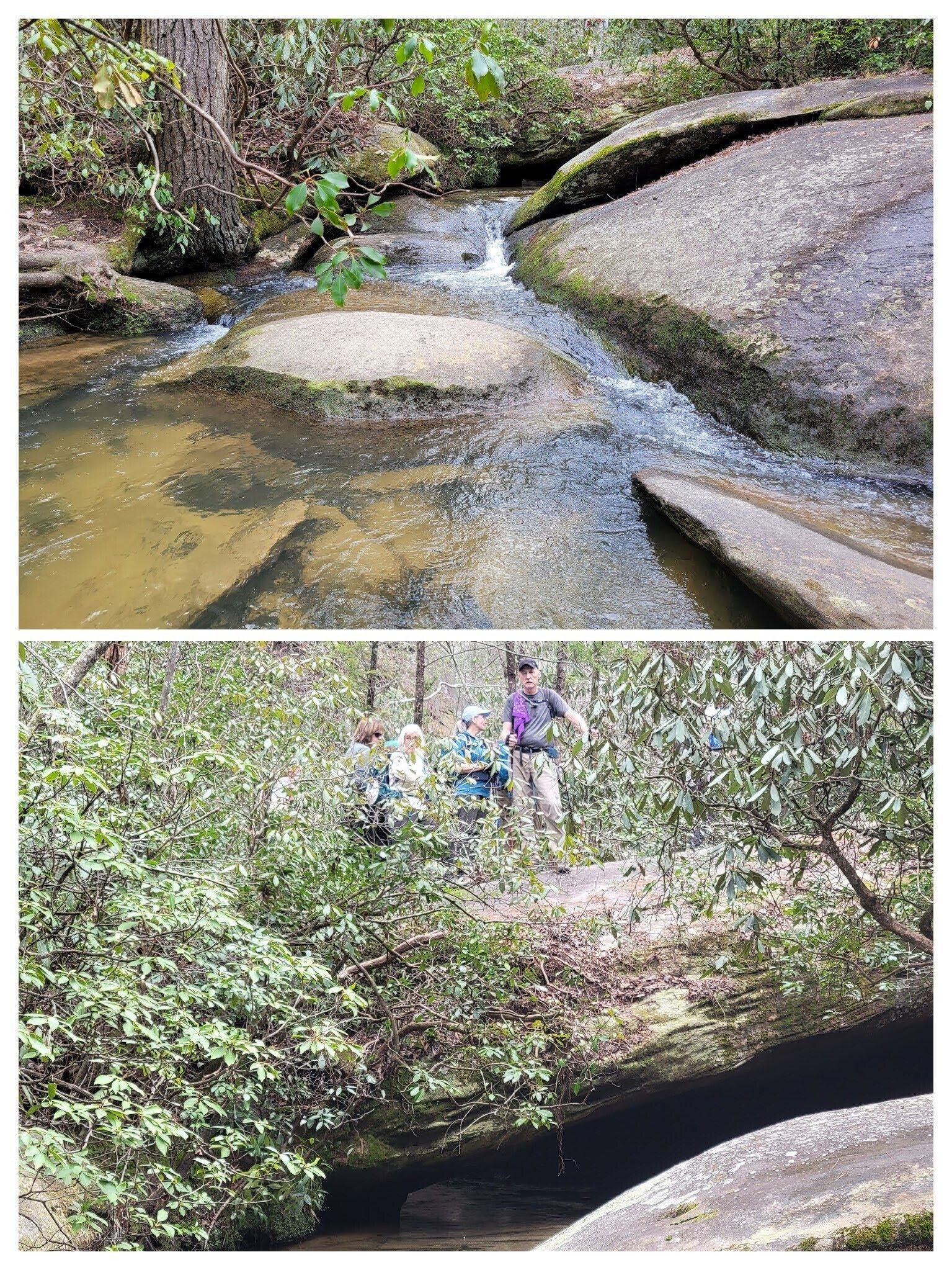 Crossing Natural Bridge over Eastatoe Creek on our last leg of the hike.  Good job everyone!