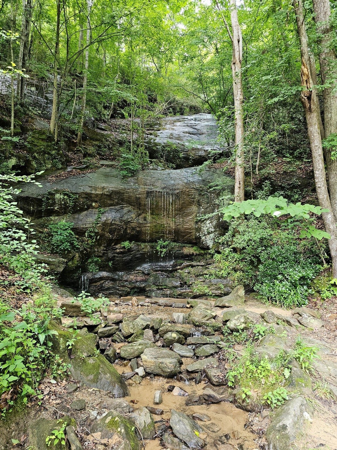 Just a last photo of a tall, but small falls behind the old power house near the trailhead on the Toccoa Falls College Campus.