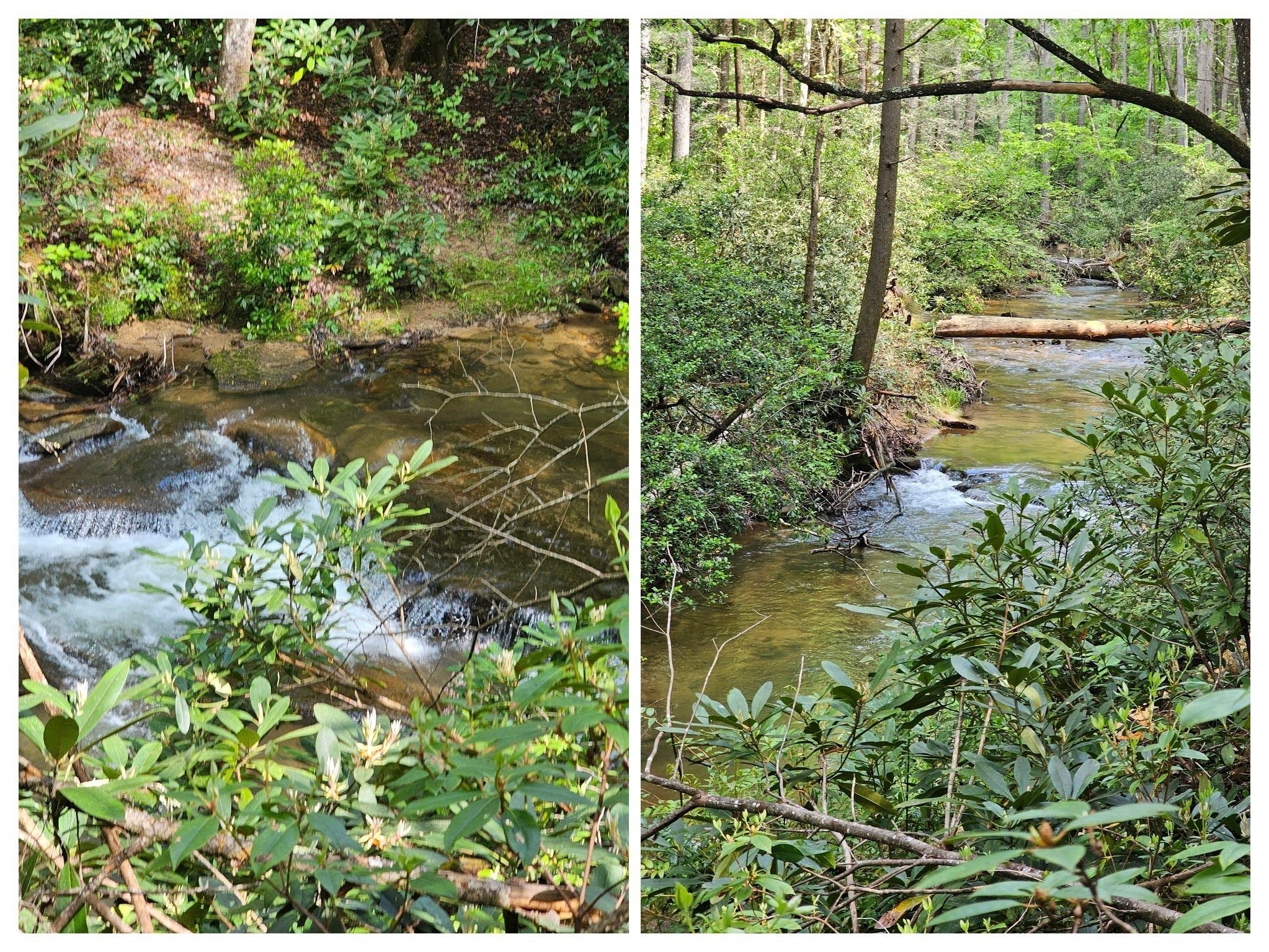 Just a couple of photos of Stonewall Creek along the lower section of the trail.