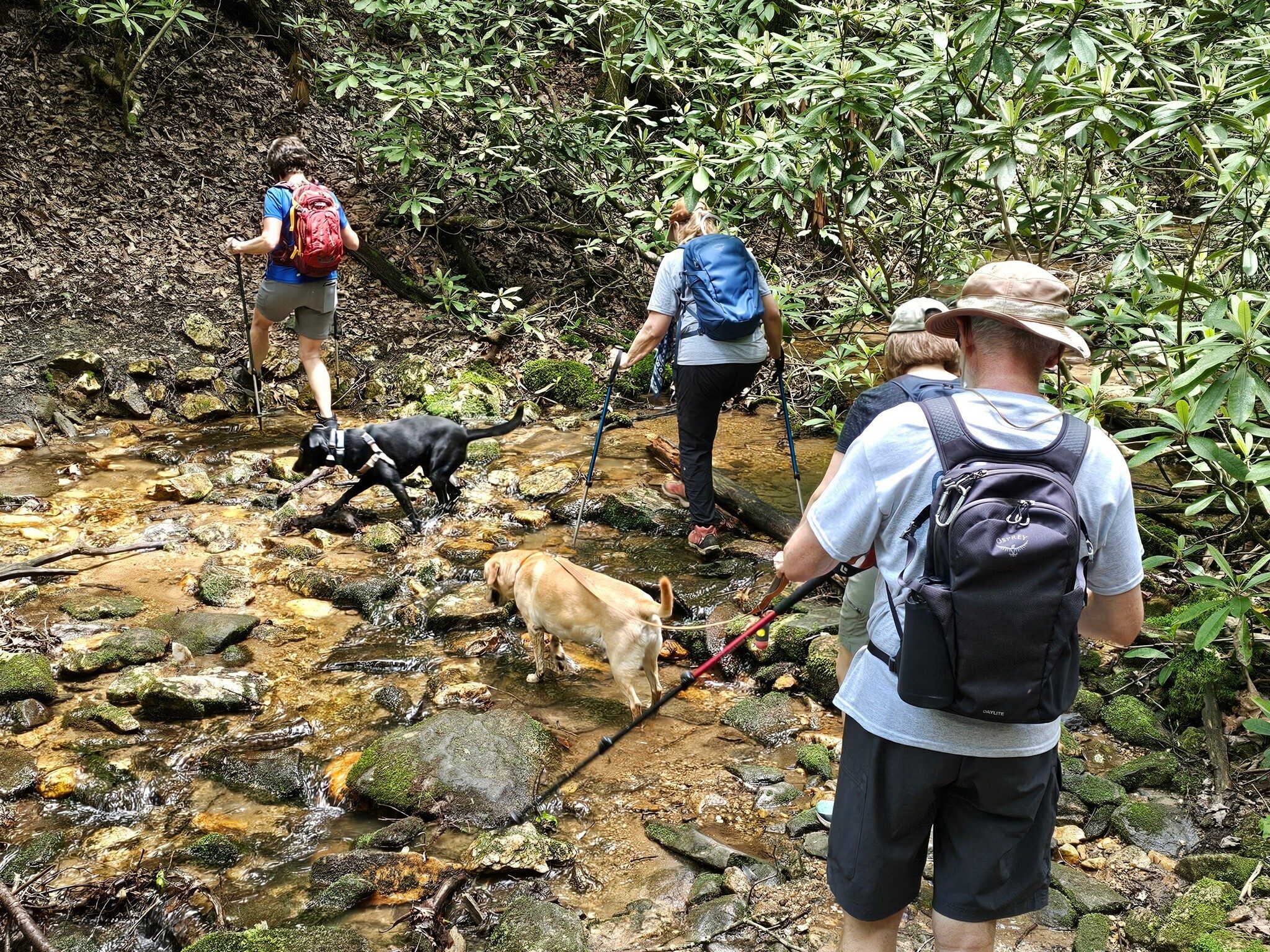 A couple of shallow stream crossings on our return leg on the BMT.