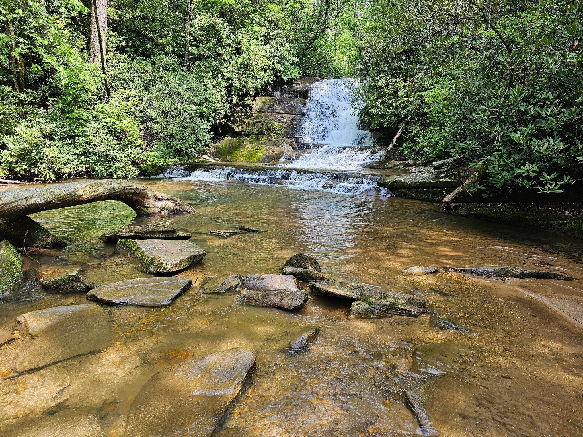 Ah, Stonewall Falls.  Just a nice place to take a break at the end of the hike.