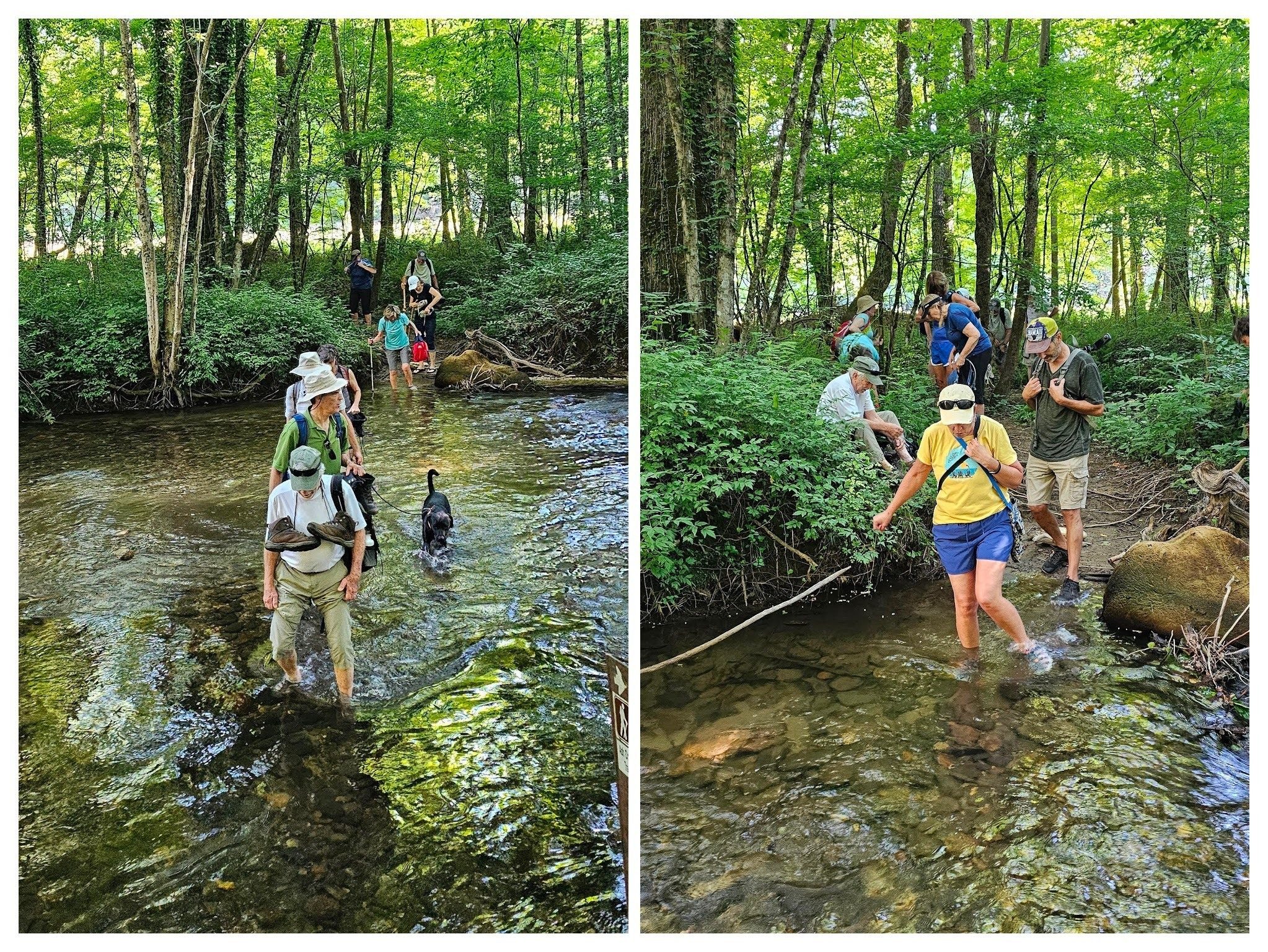 Wading across Dukes Creek.  Everyone has their own technique.