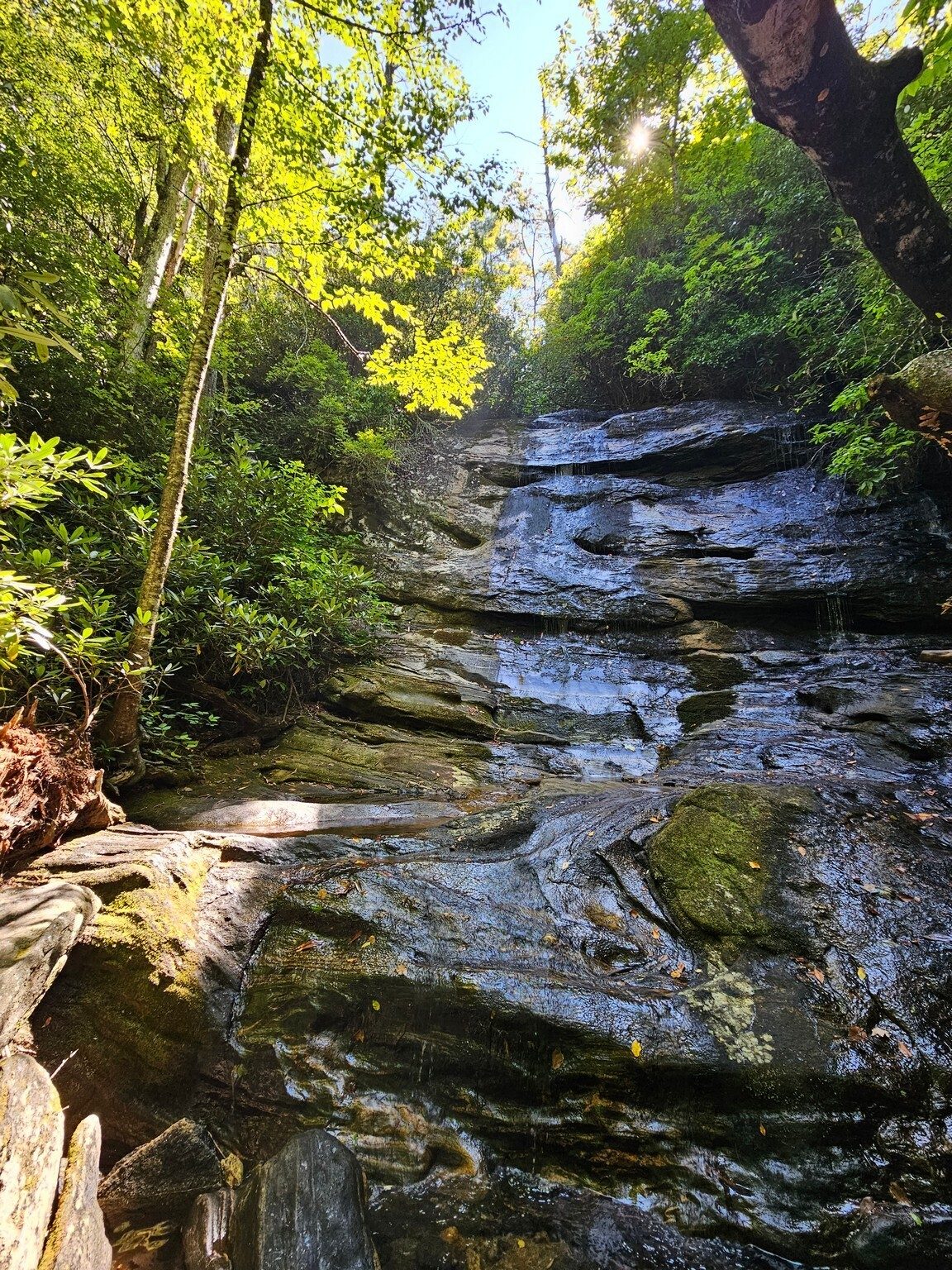 Ranger Falls, but almost a trickle instead.