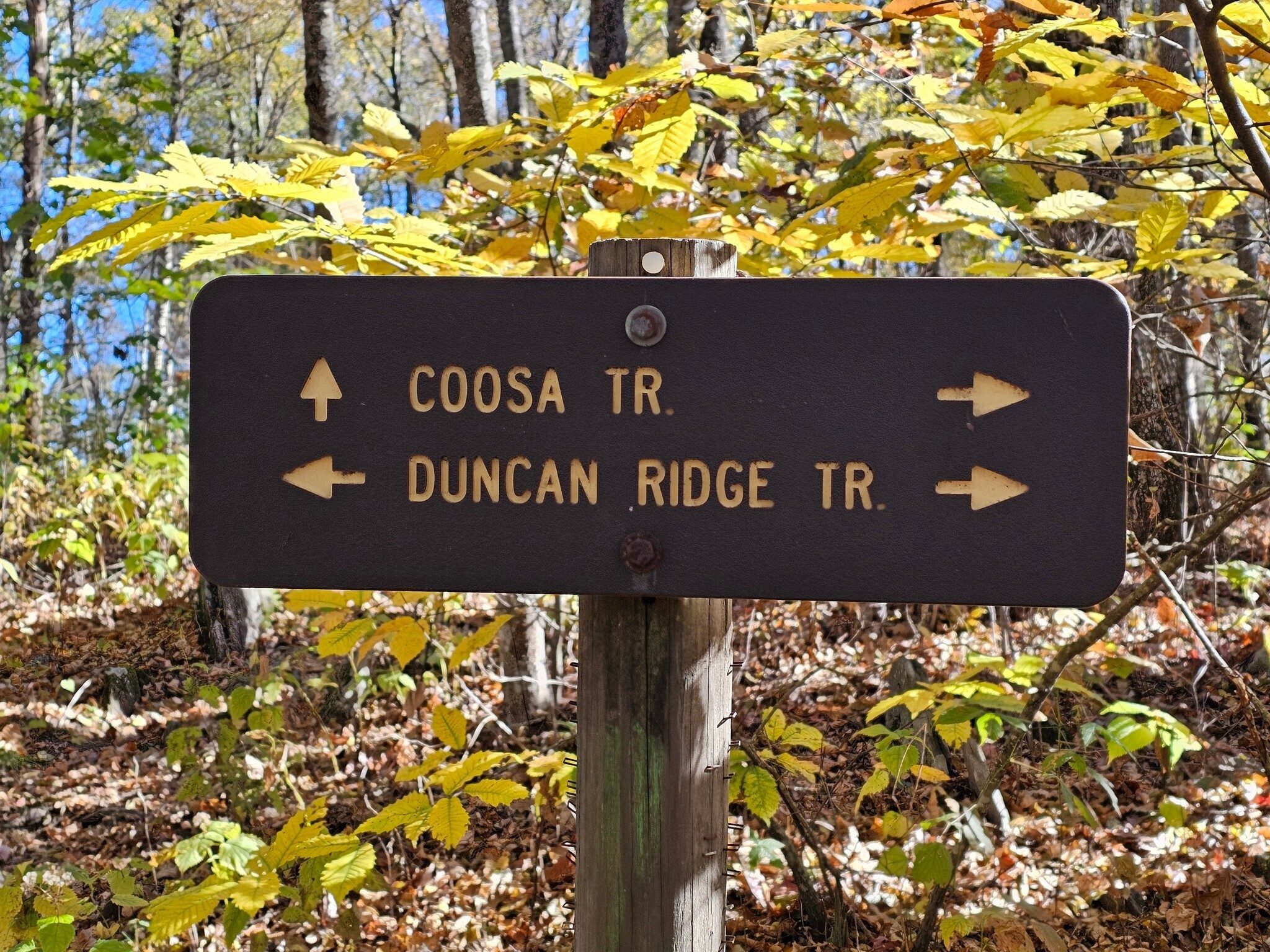 Continuing on the Coosa Backcountry Trail.