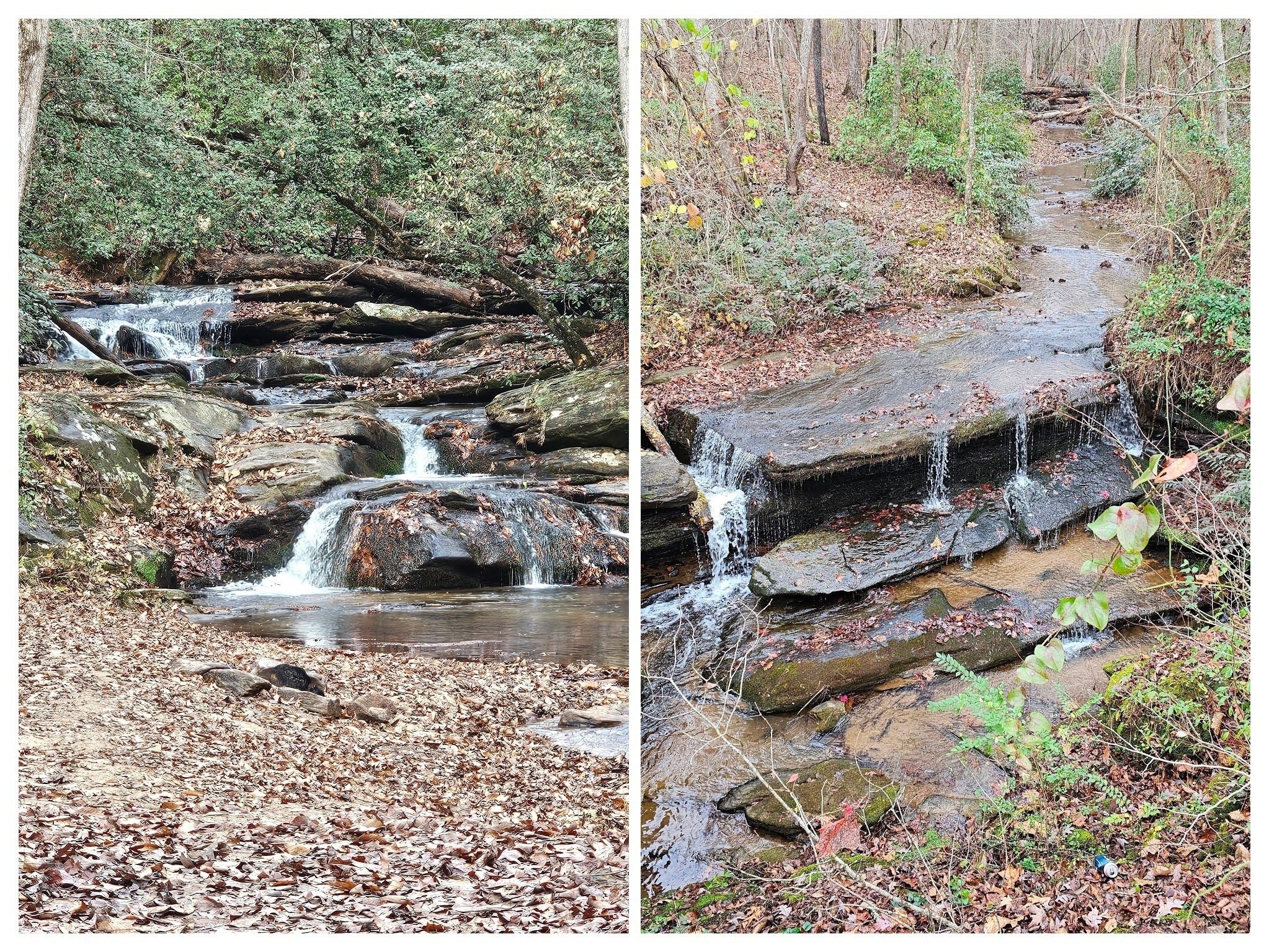 A couple of small cascades on Nancytown Creek as we return.