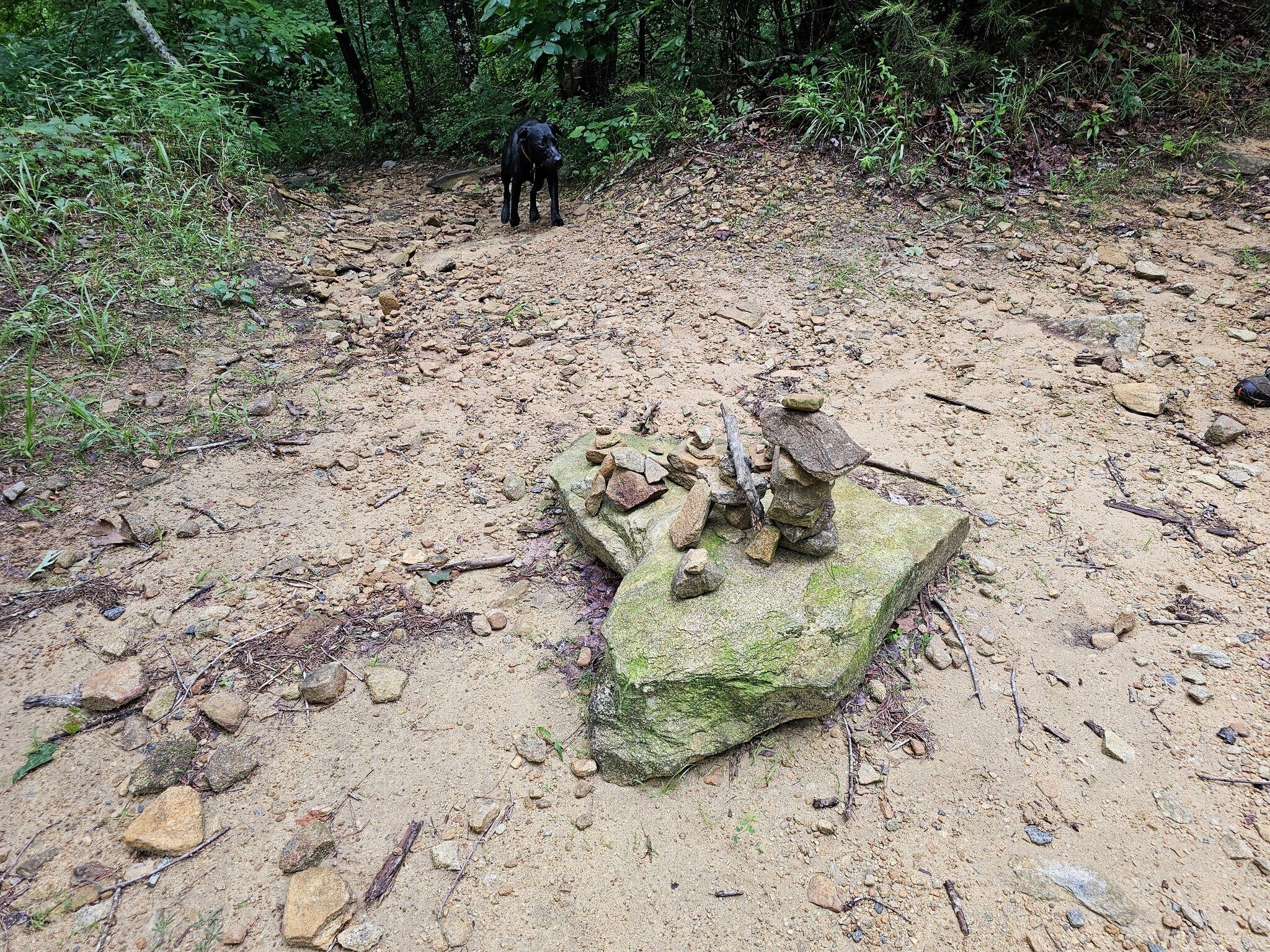 The cairn marking the turn-off to Contentment Cave & Falls
