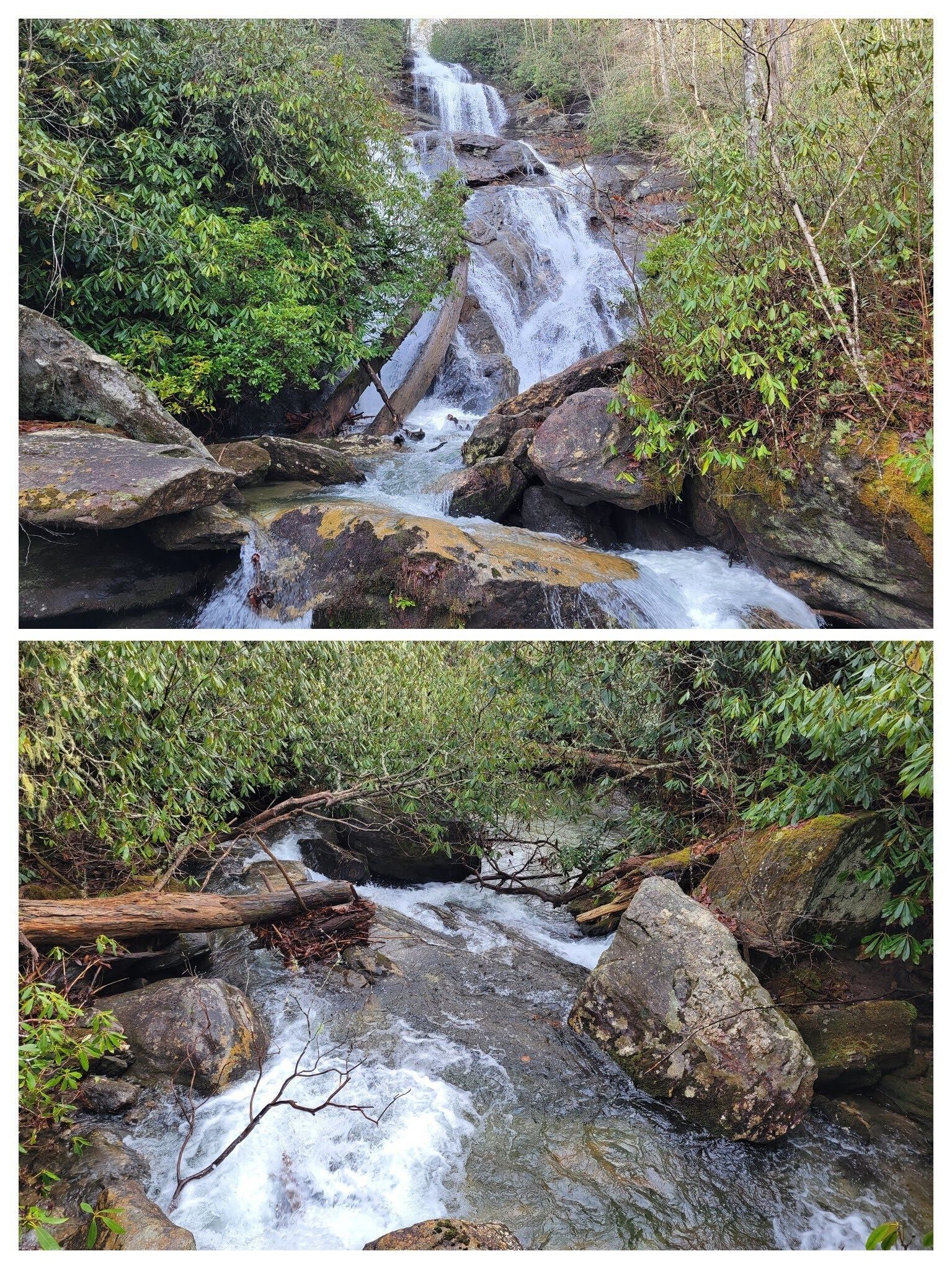 The view up and down Holcomb Creek Falls
