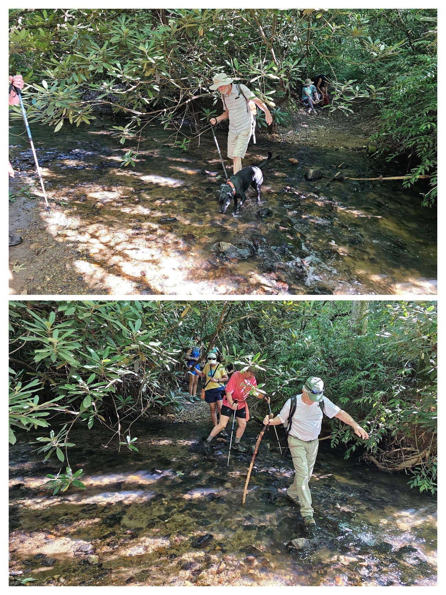 Crossing Ash Creek.  Now how do I want to cross?  Rock hop or just wade?