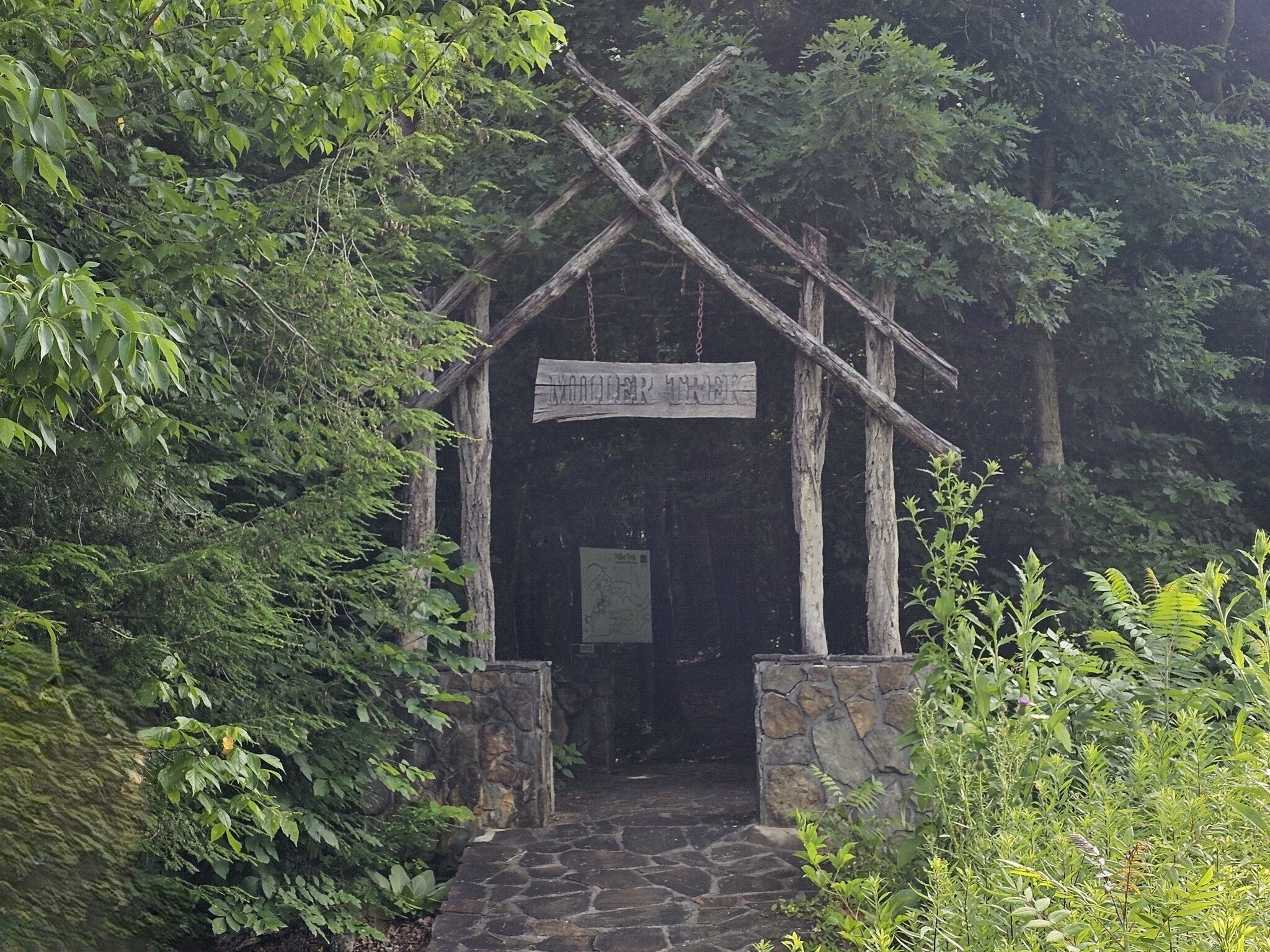 Nice trailhead entrance.  Thanks to the Brasstown Valley Resort for access to the trail  through their property.