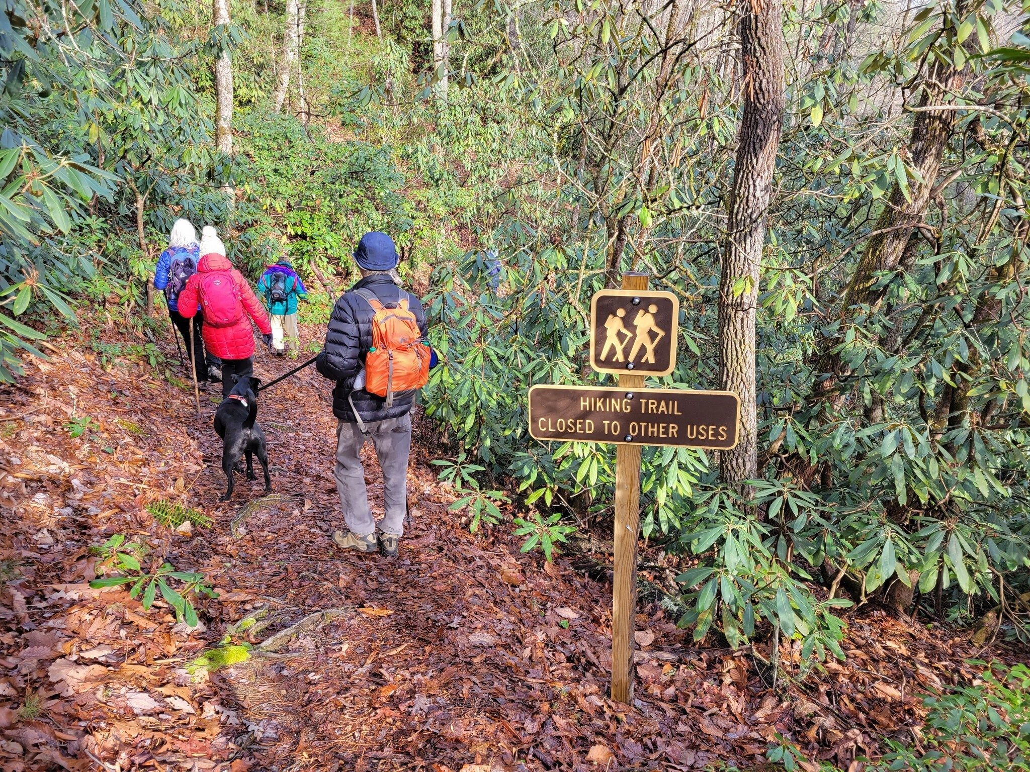 Nice trail overall.